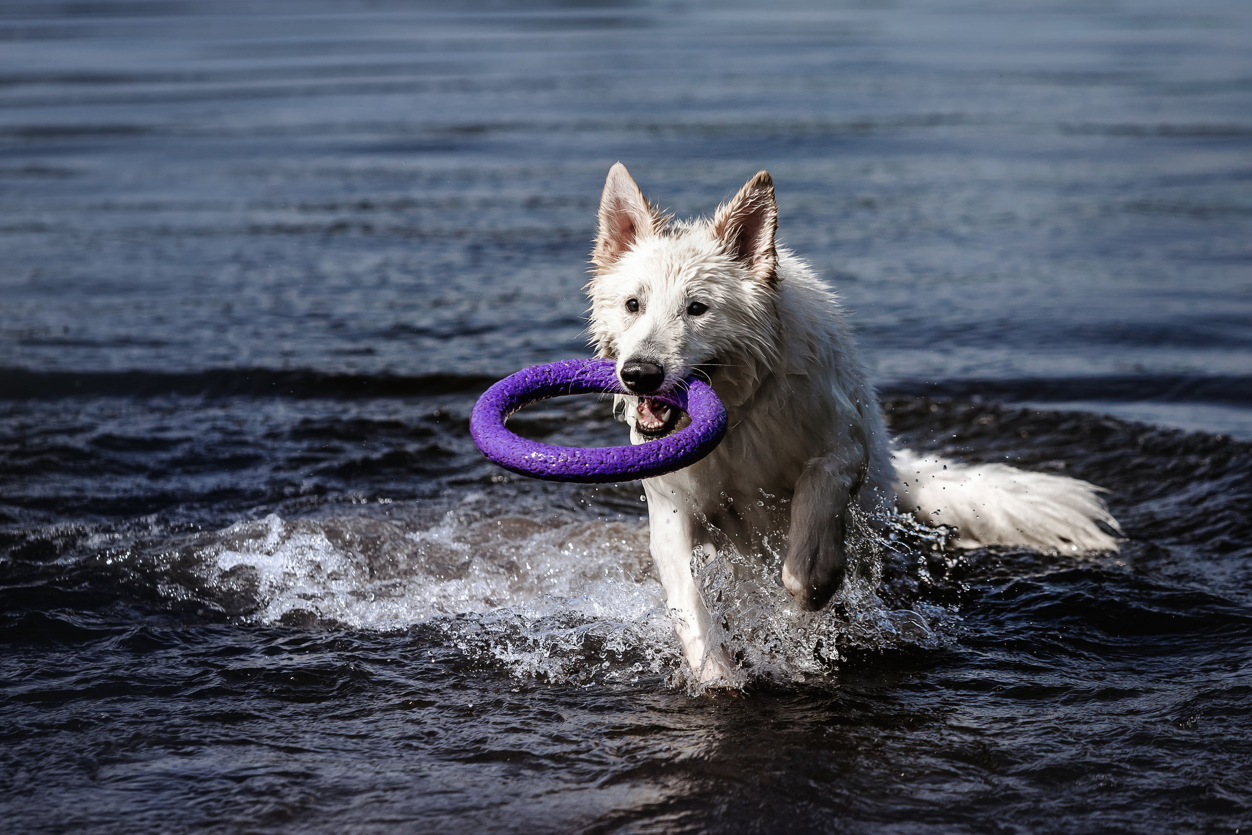 Фотосессия Светы, Юли и Олафа