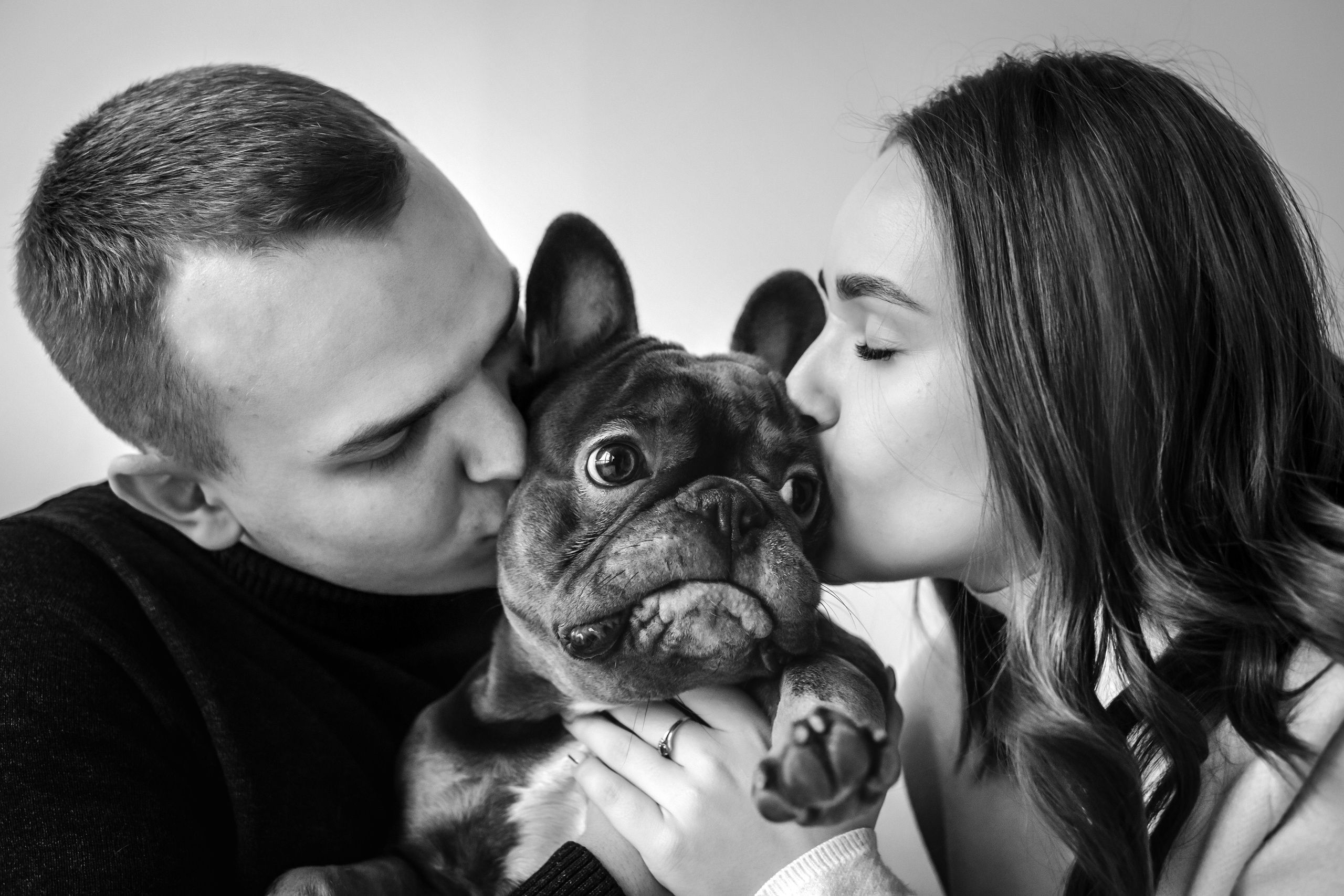 Фотосессия бульдогов Лео и Марса в догфрендли студии