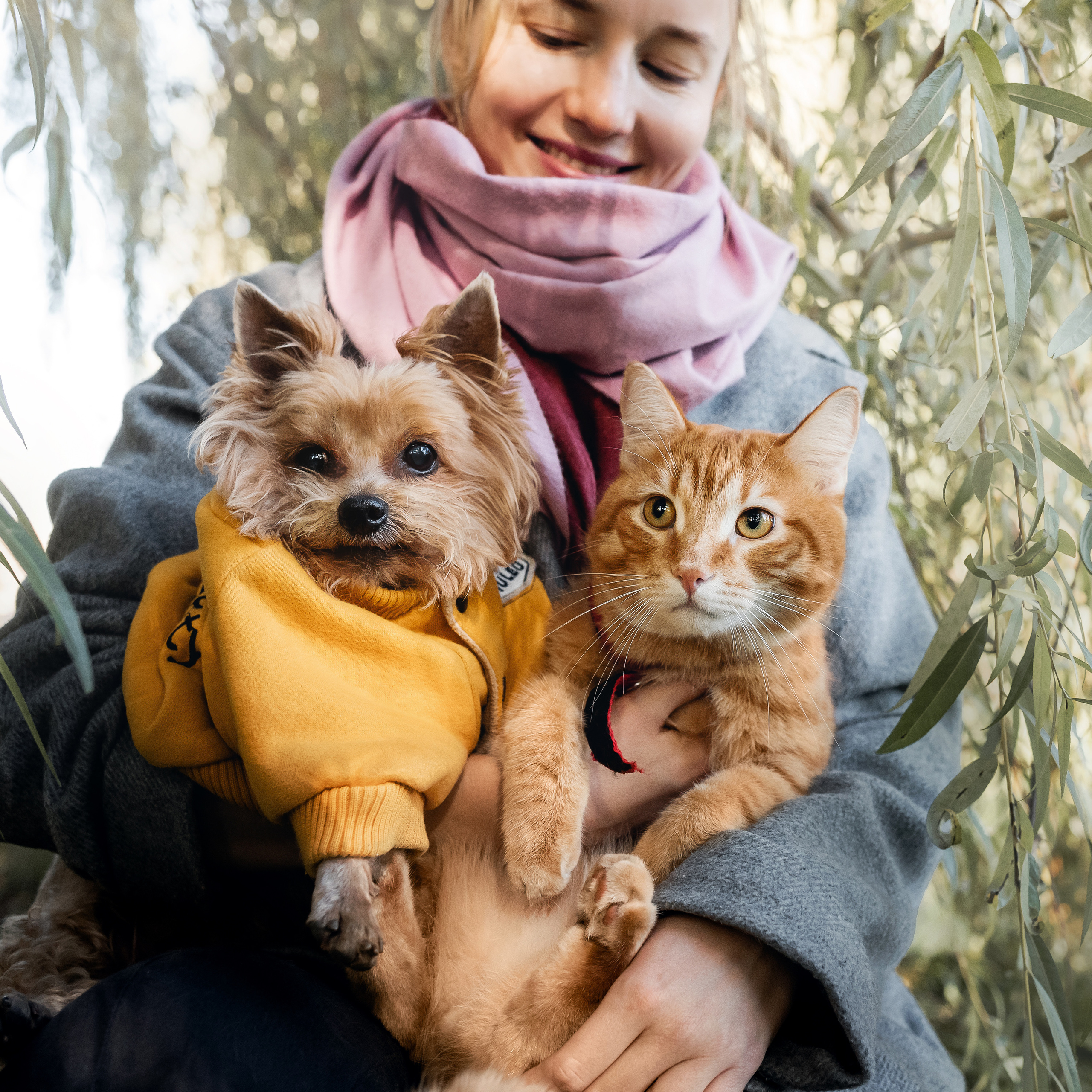 Фотосессия с собакой и котом. Ира, йорк Филя и кот Леброн
