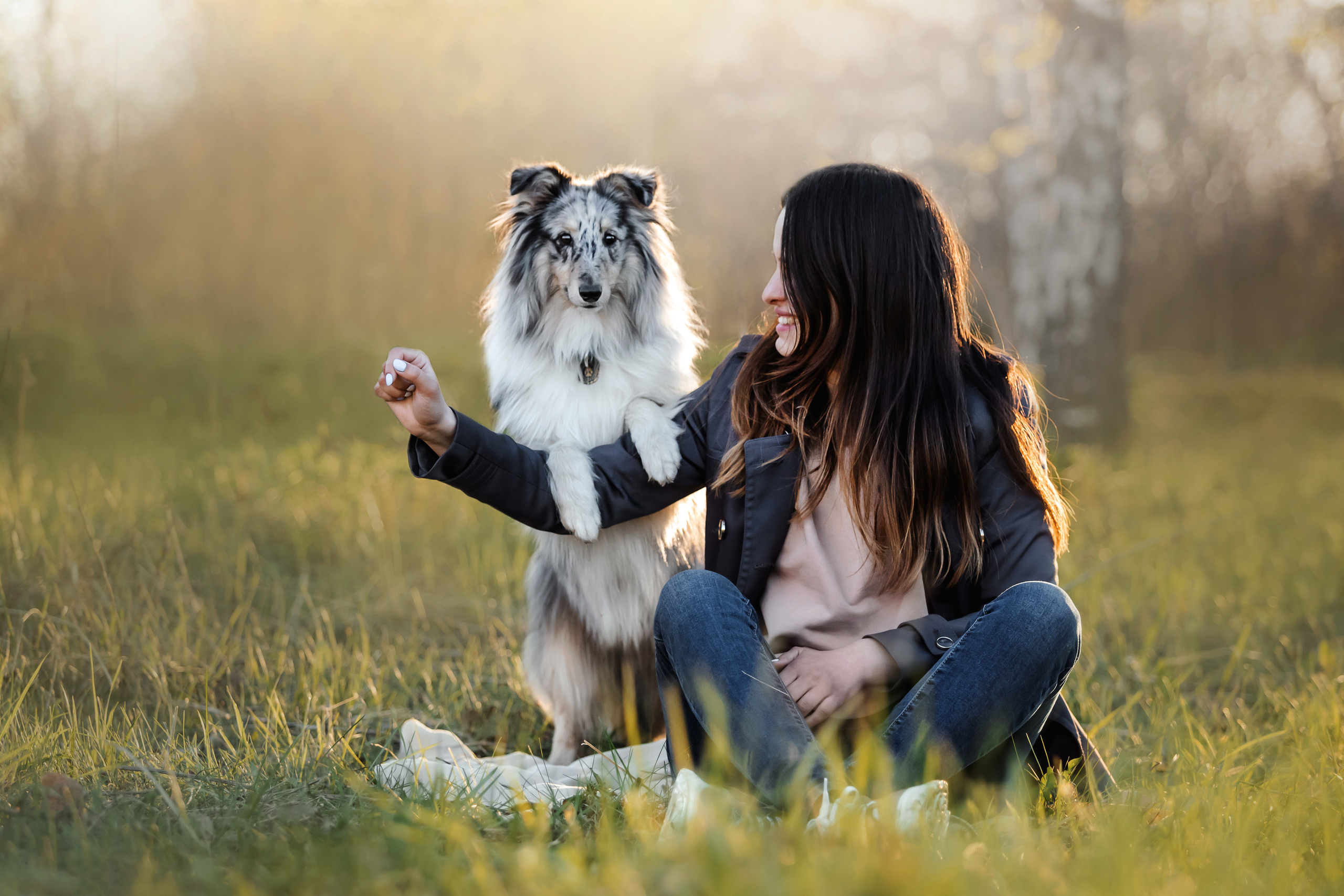 Фотосессия с шелти Скаем