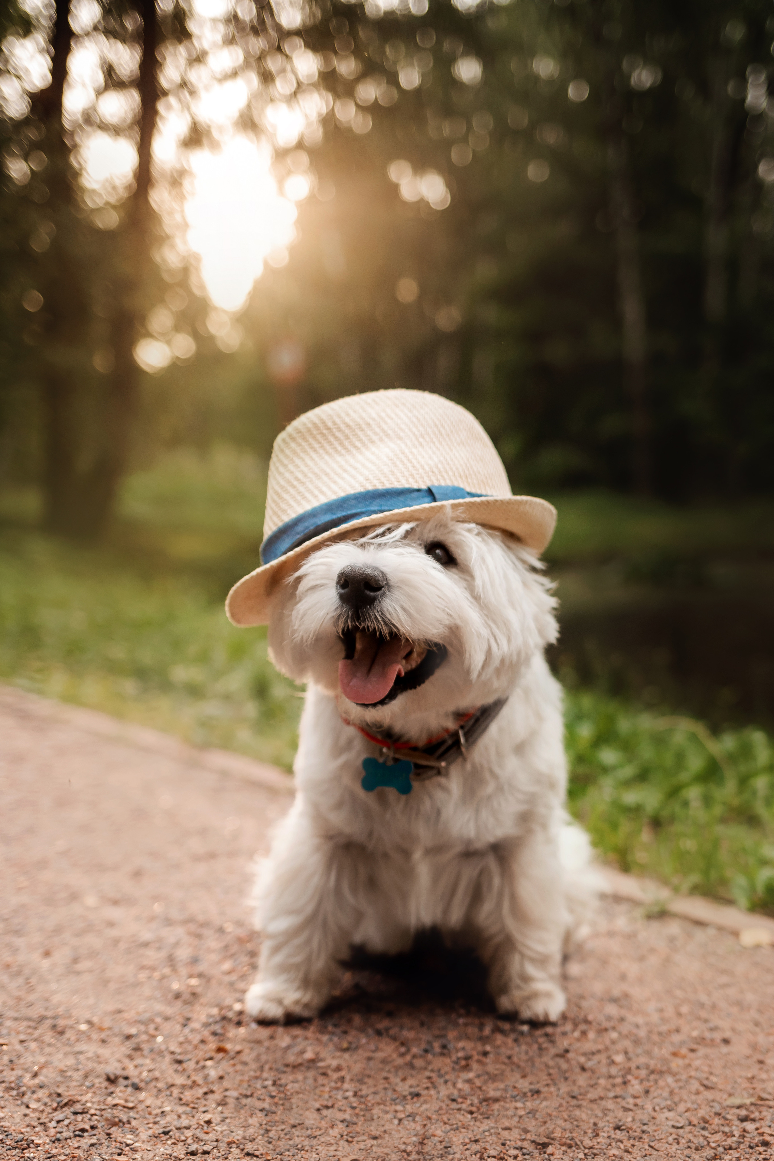 Перся и его семья в Ботаническом лесу