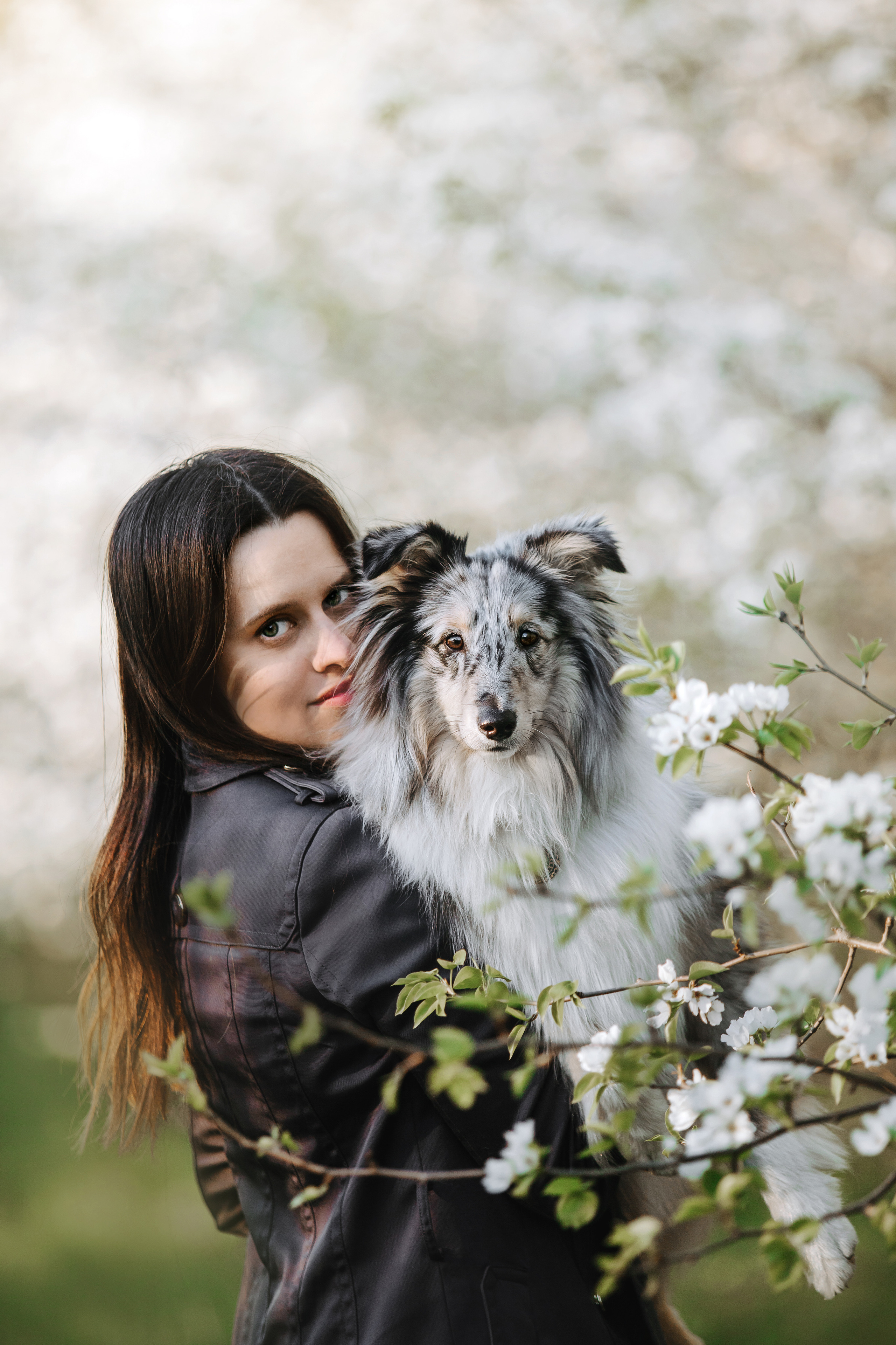 Фотосессия с шелти Скаем