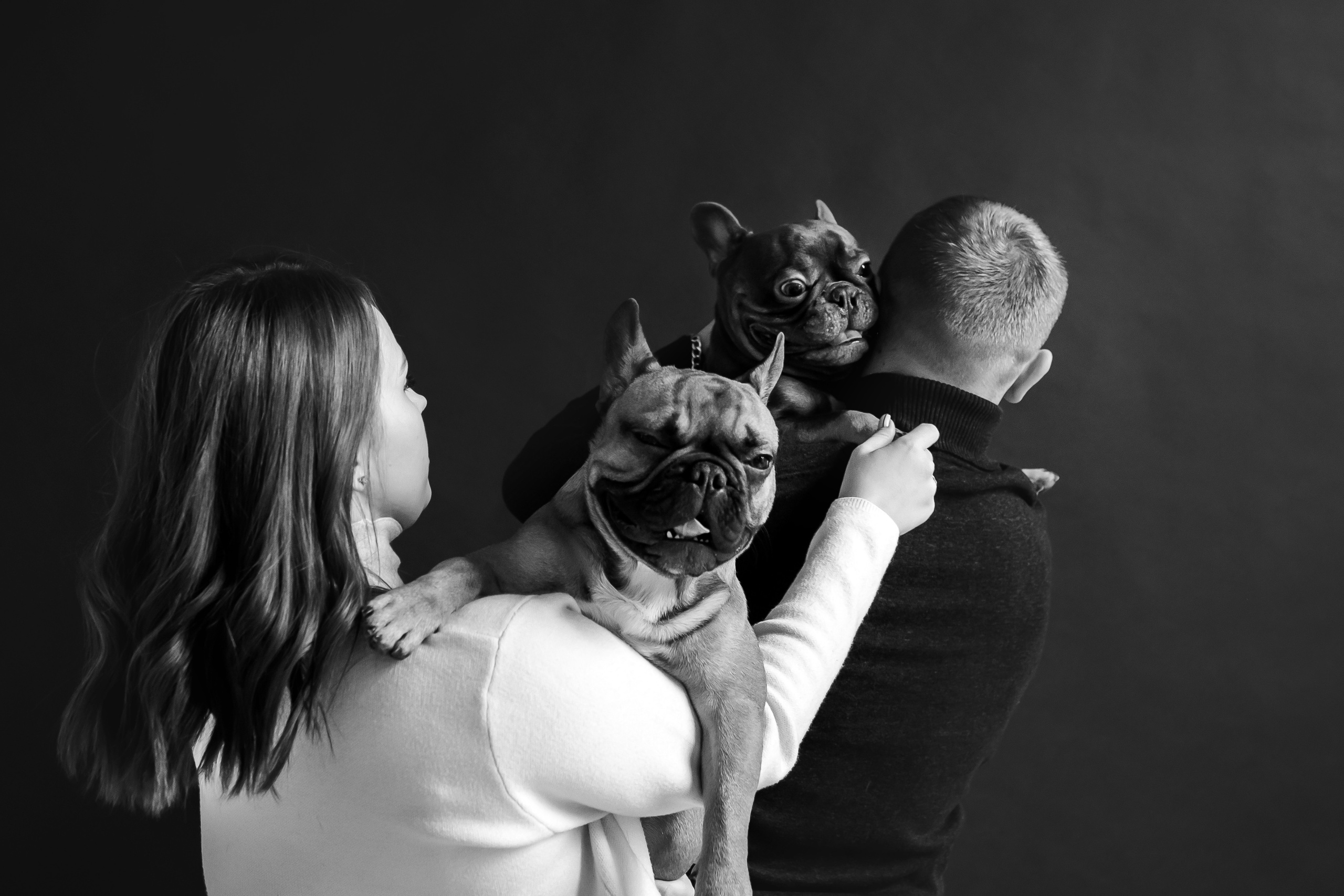 Фотосессия бульдогов Лео и Марса в догфрендли студии