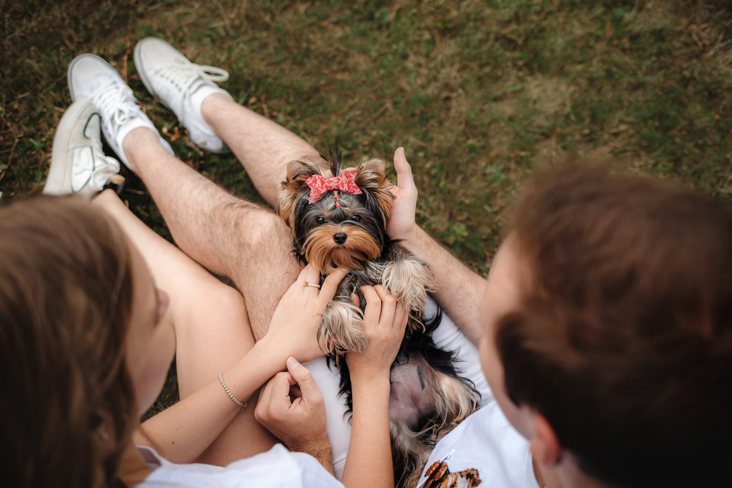 Фотосессия йорка Юли и ее семья