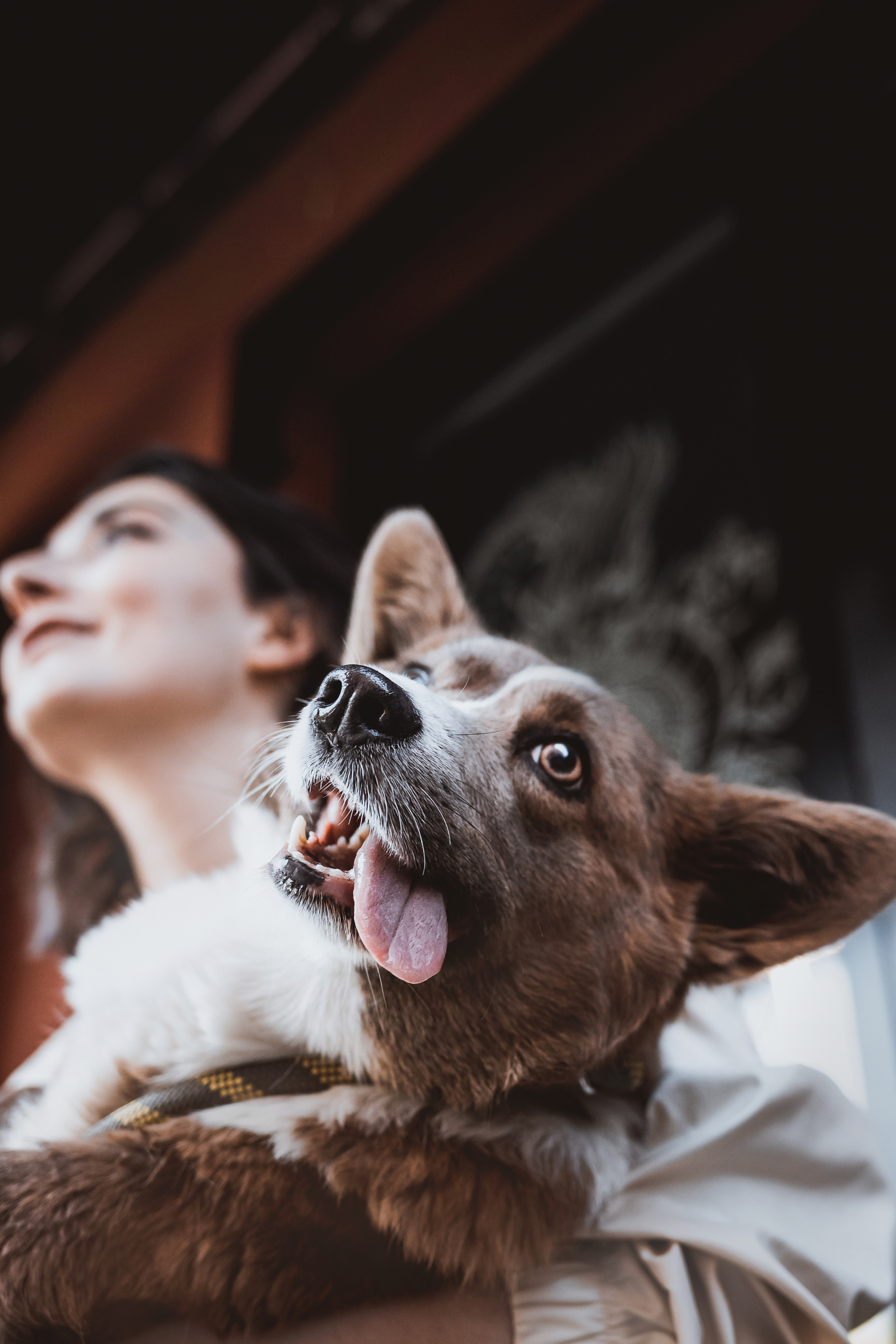 Кристина и Лулуди