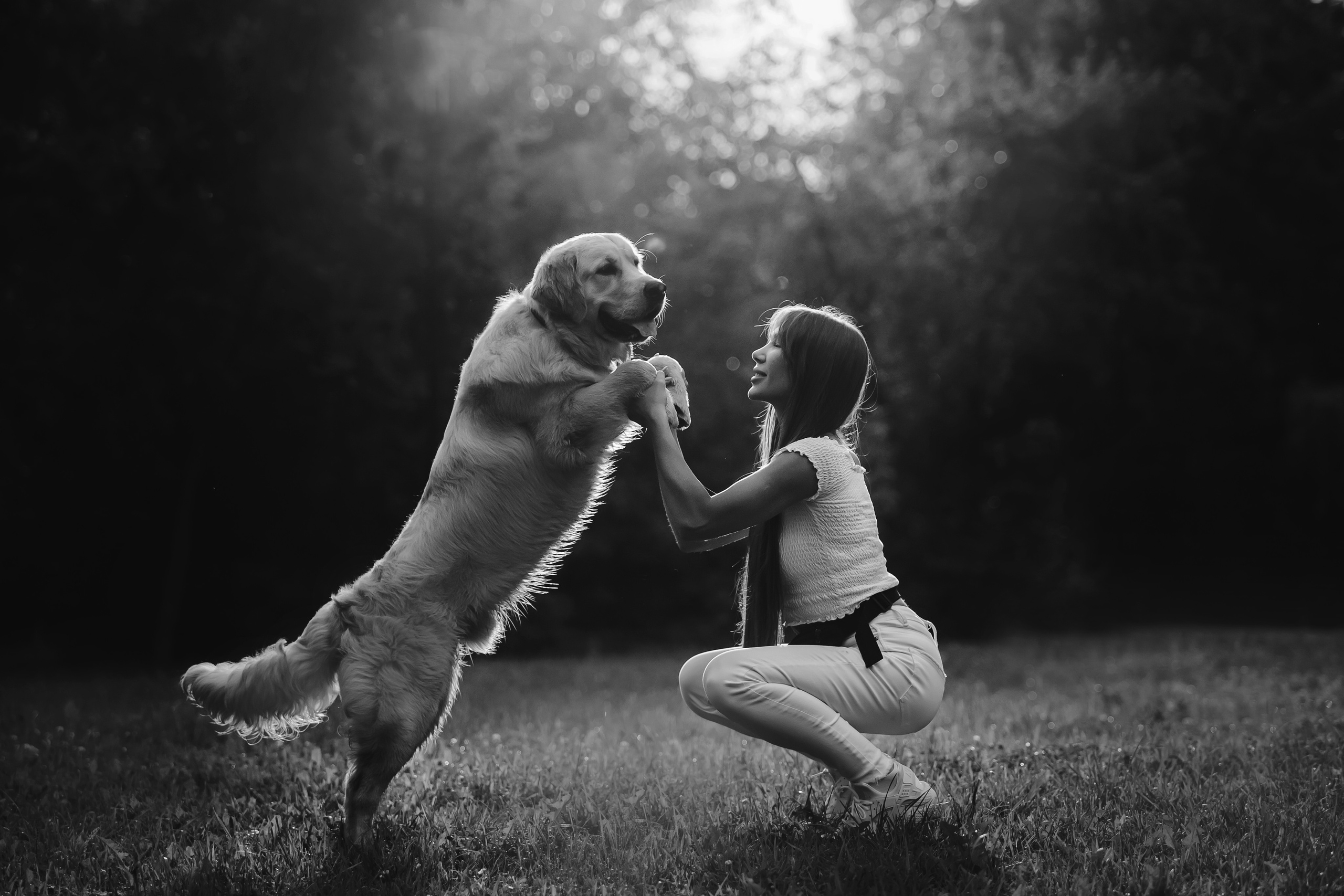 Фотосессия с щенком золотистого ретривера