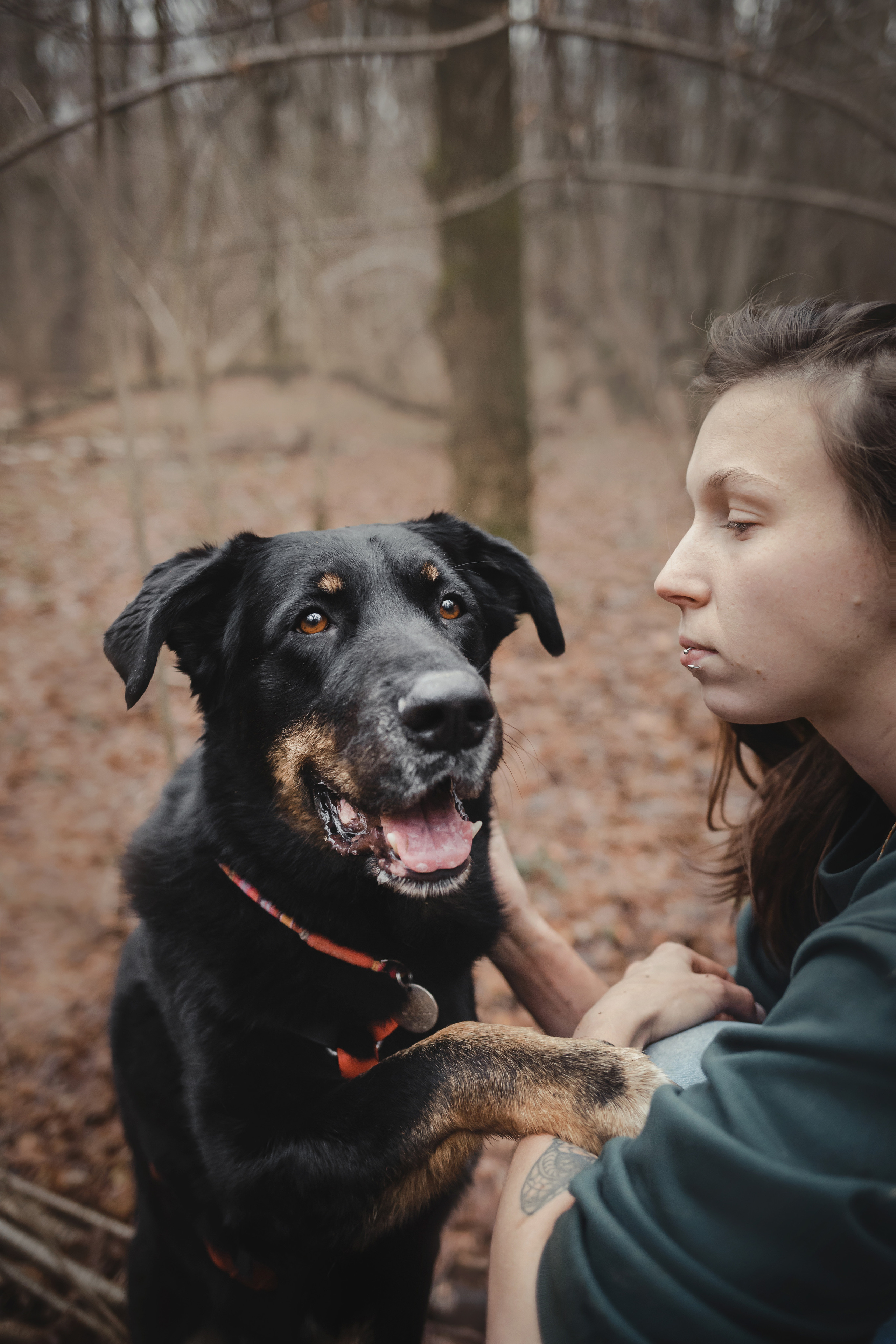 Фотосессия с собакой Фелик