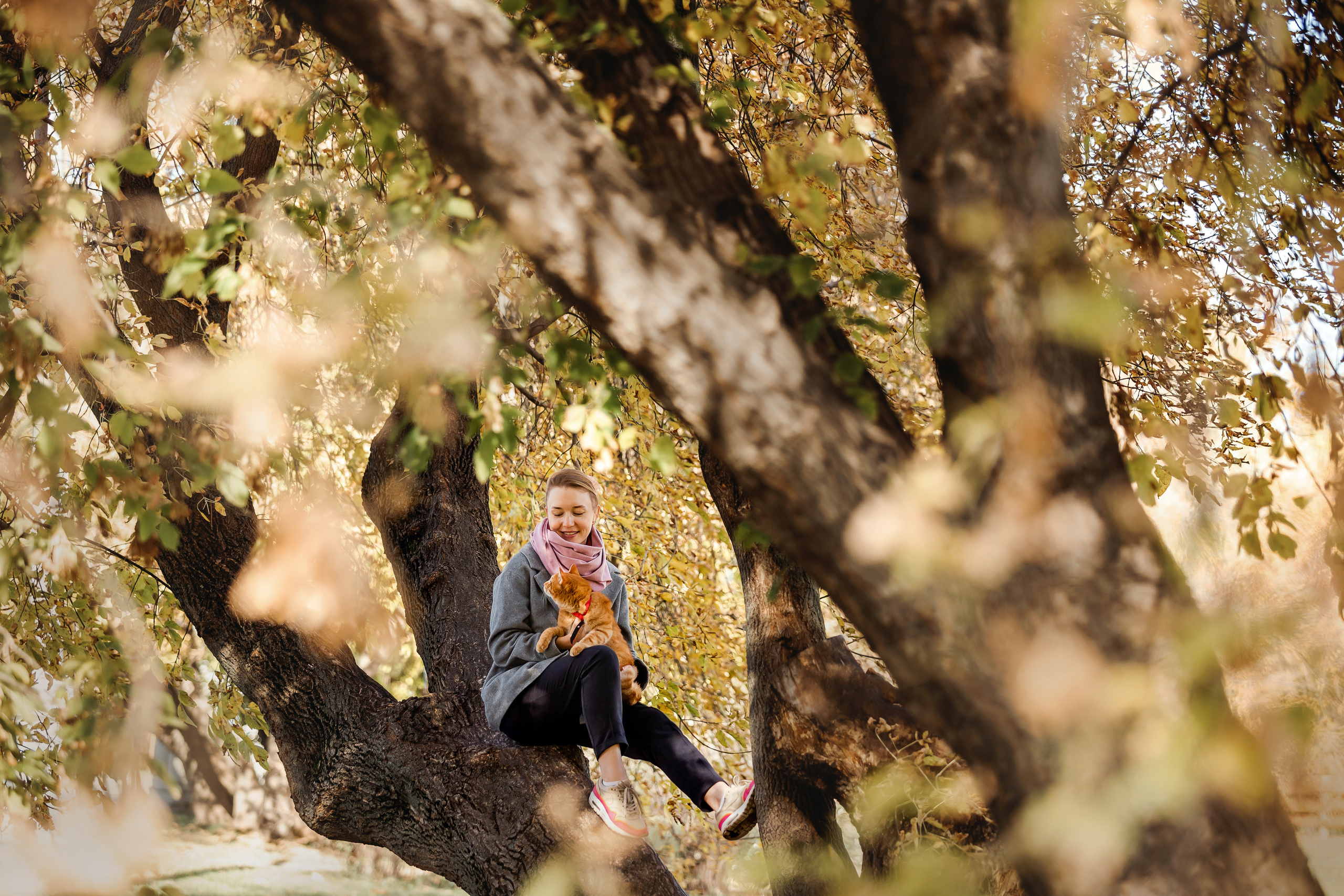 Фотосессия с собакой и котом. Ира, йорк Филя и кот Леброн