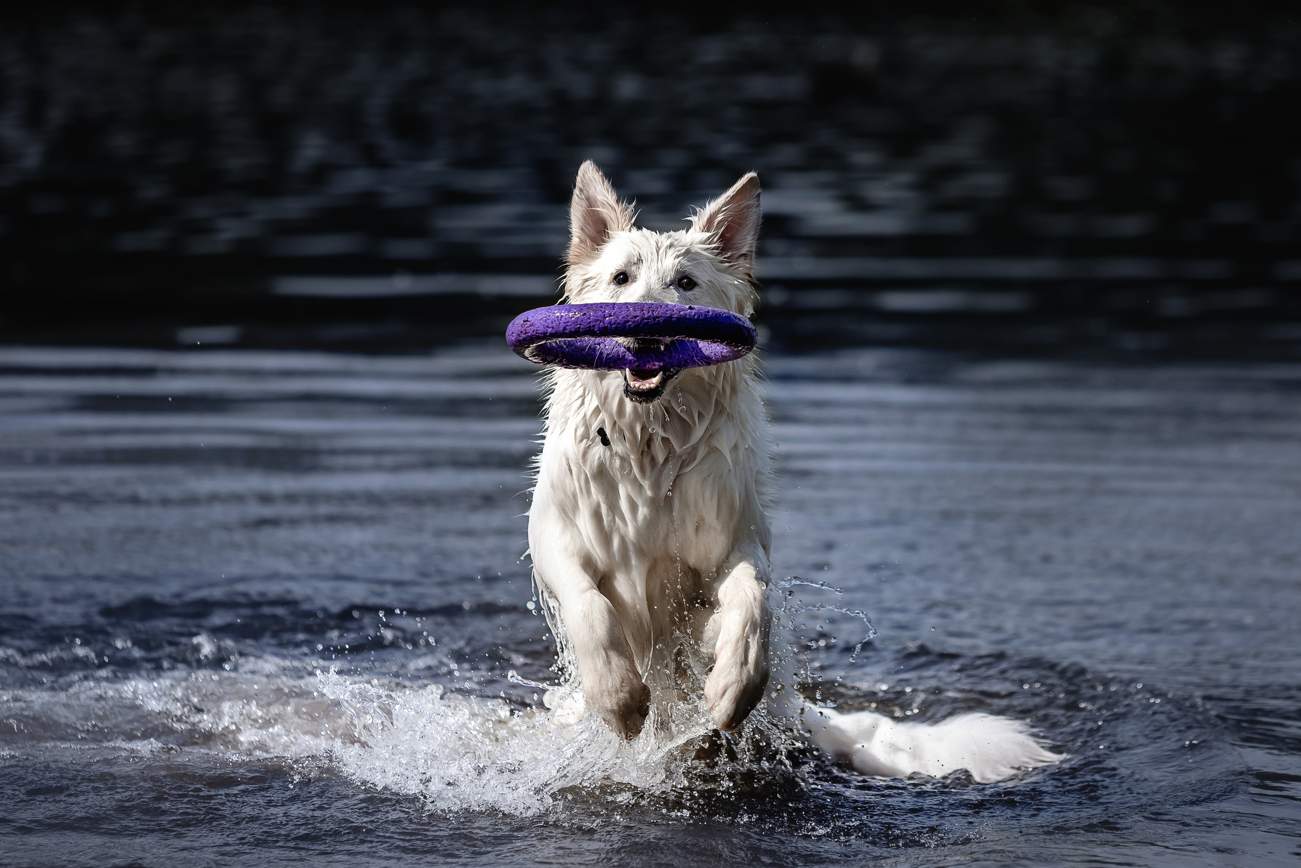 Фотосессия Светы, Юли и Олафа