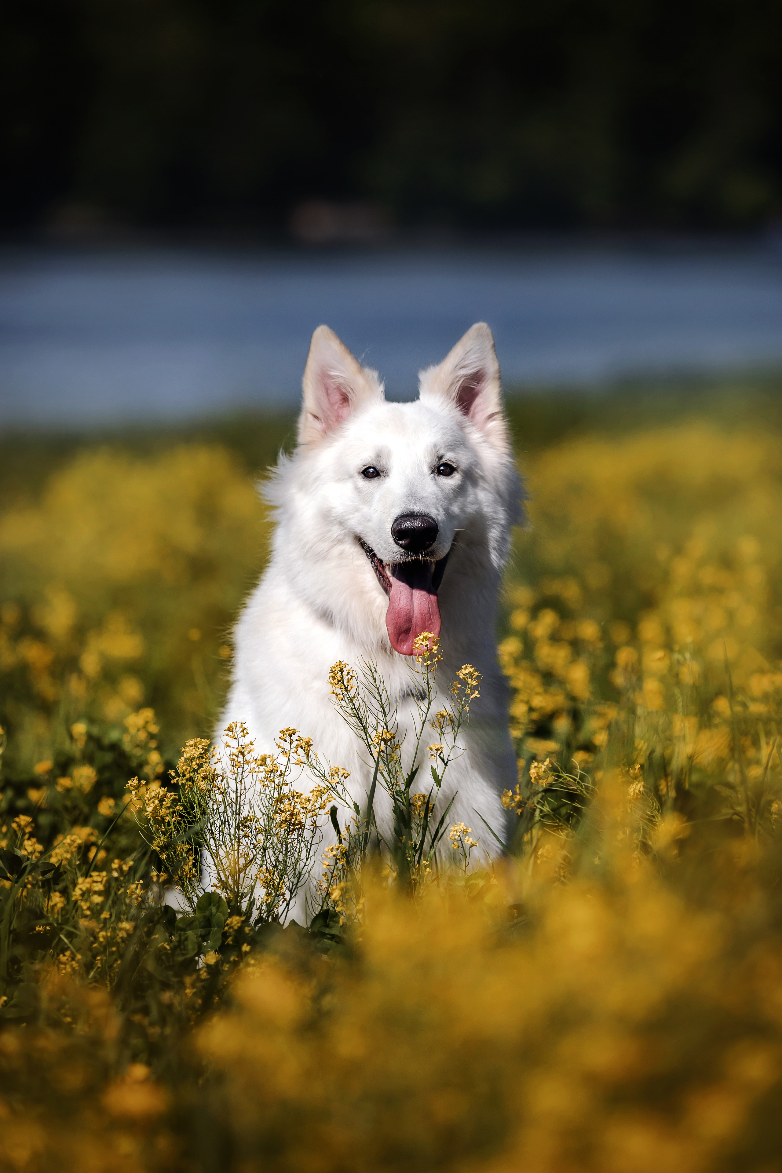 Фотосессия Светы, Юли и Олафа