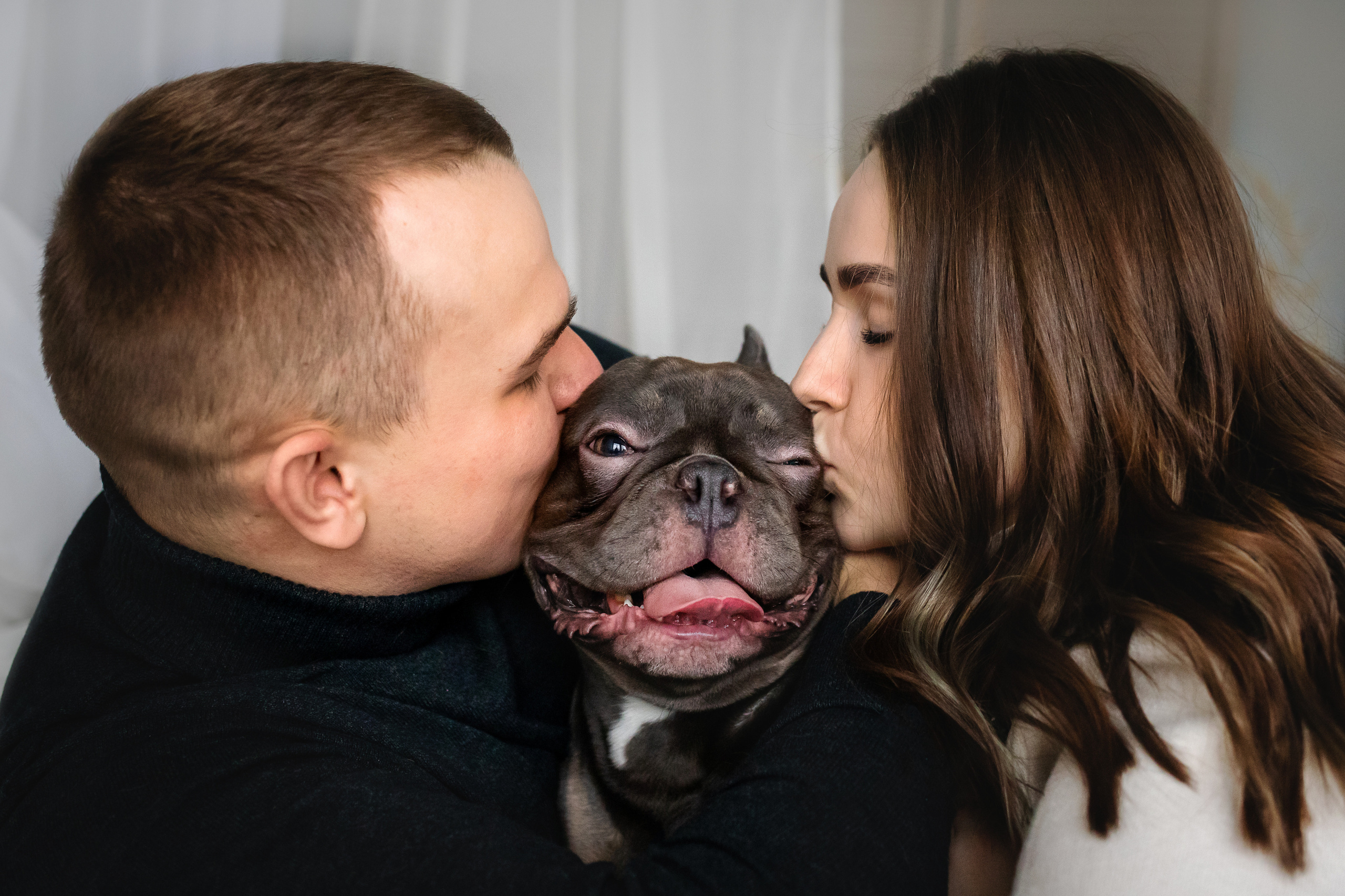 Фотосессия бульдогов Лео и Марса в догфрендли студии