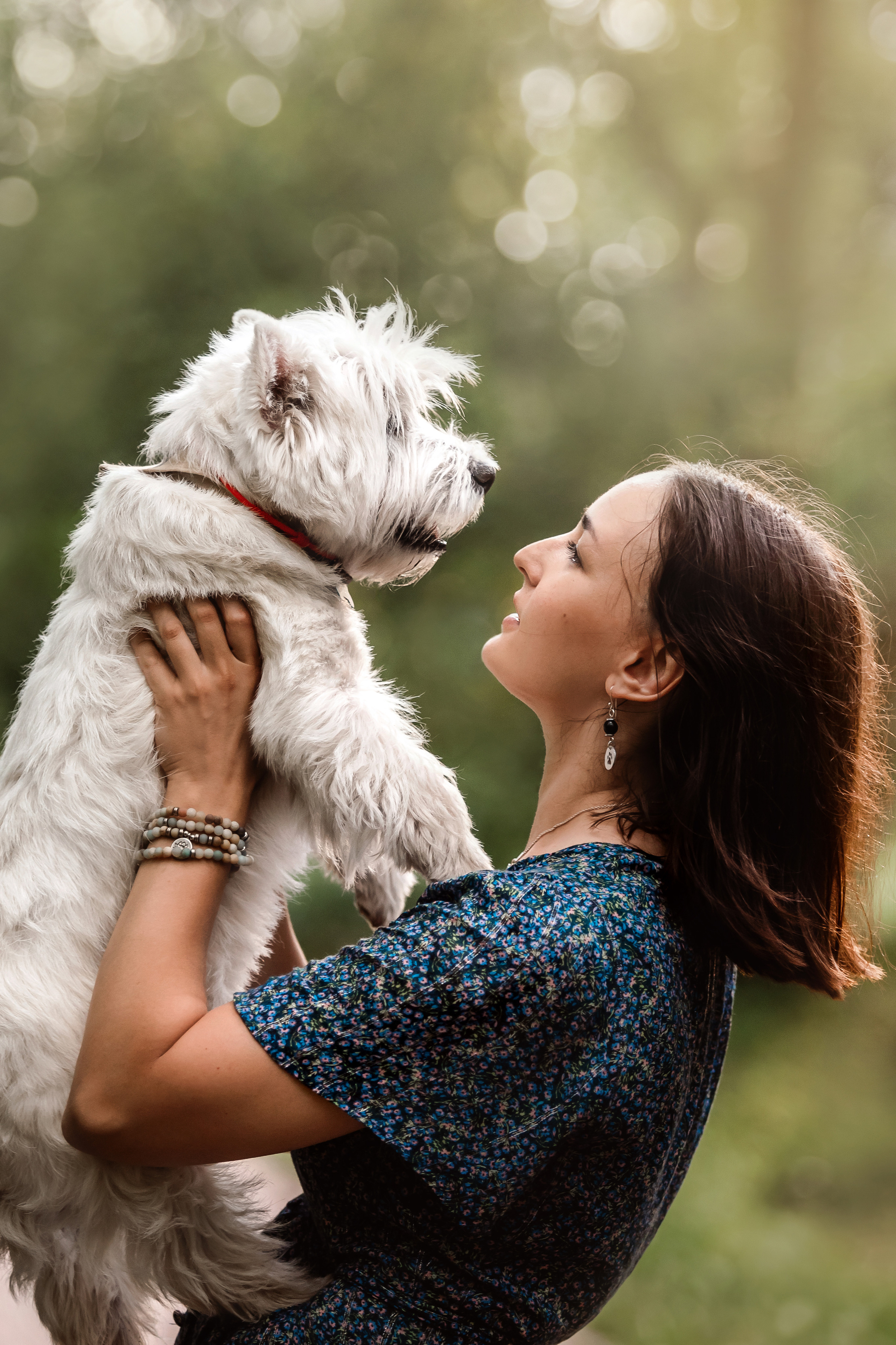 Перся и его семья в Ботаническом лесу