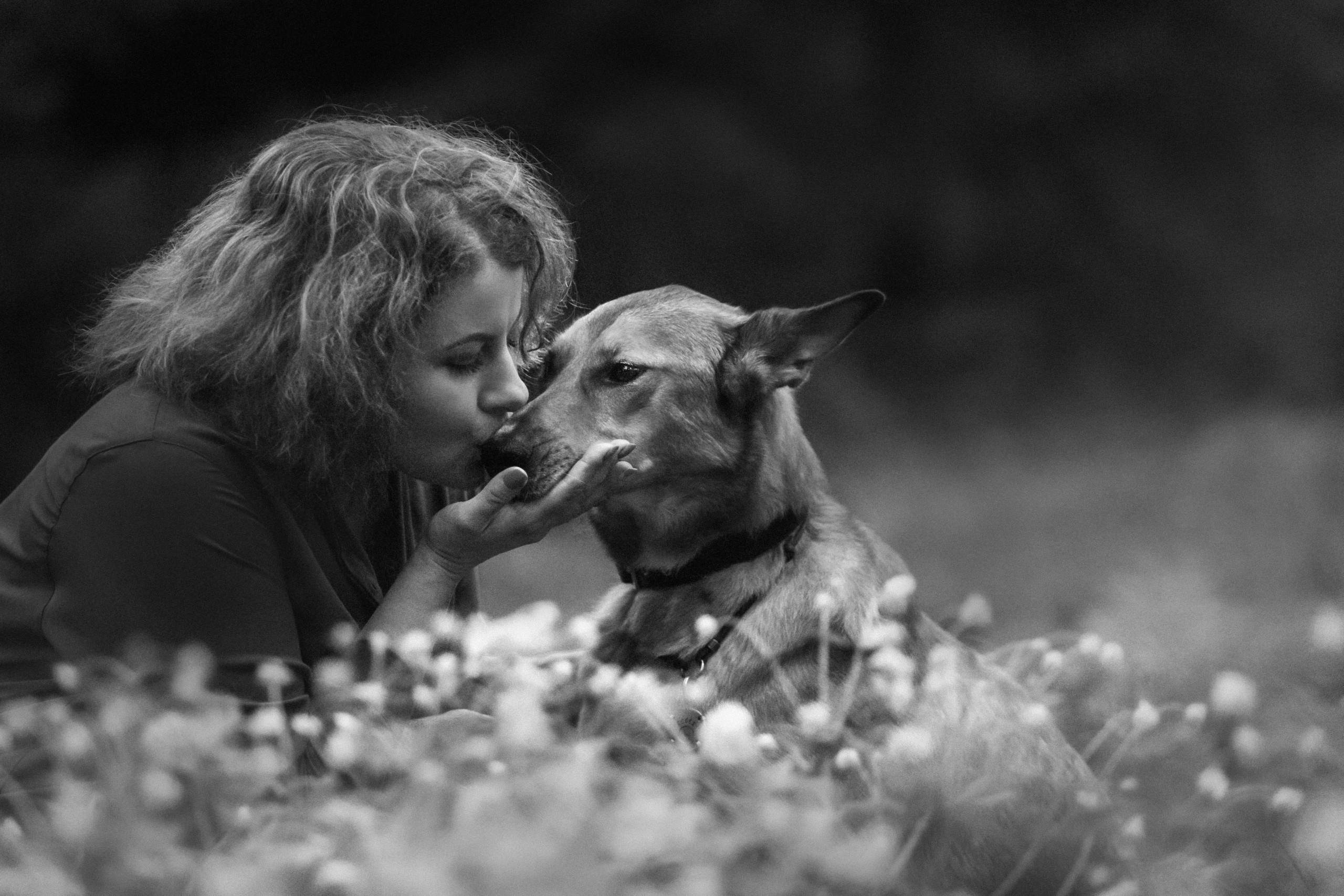 Фотосессия на рассвете собаки Росси, Саввы и их семьи