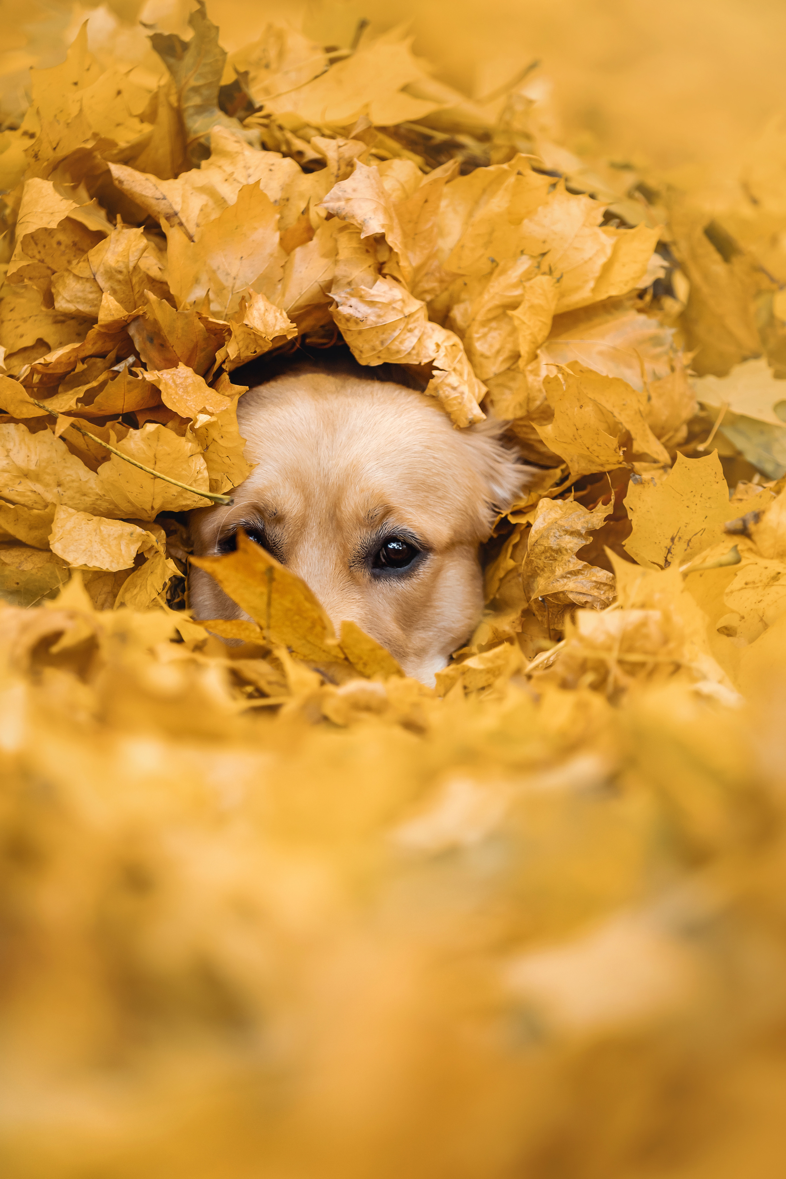 Фотосессия Марины и Паскаля