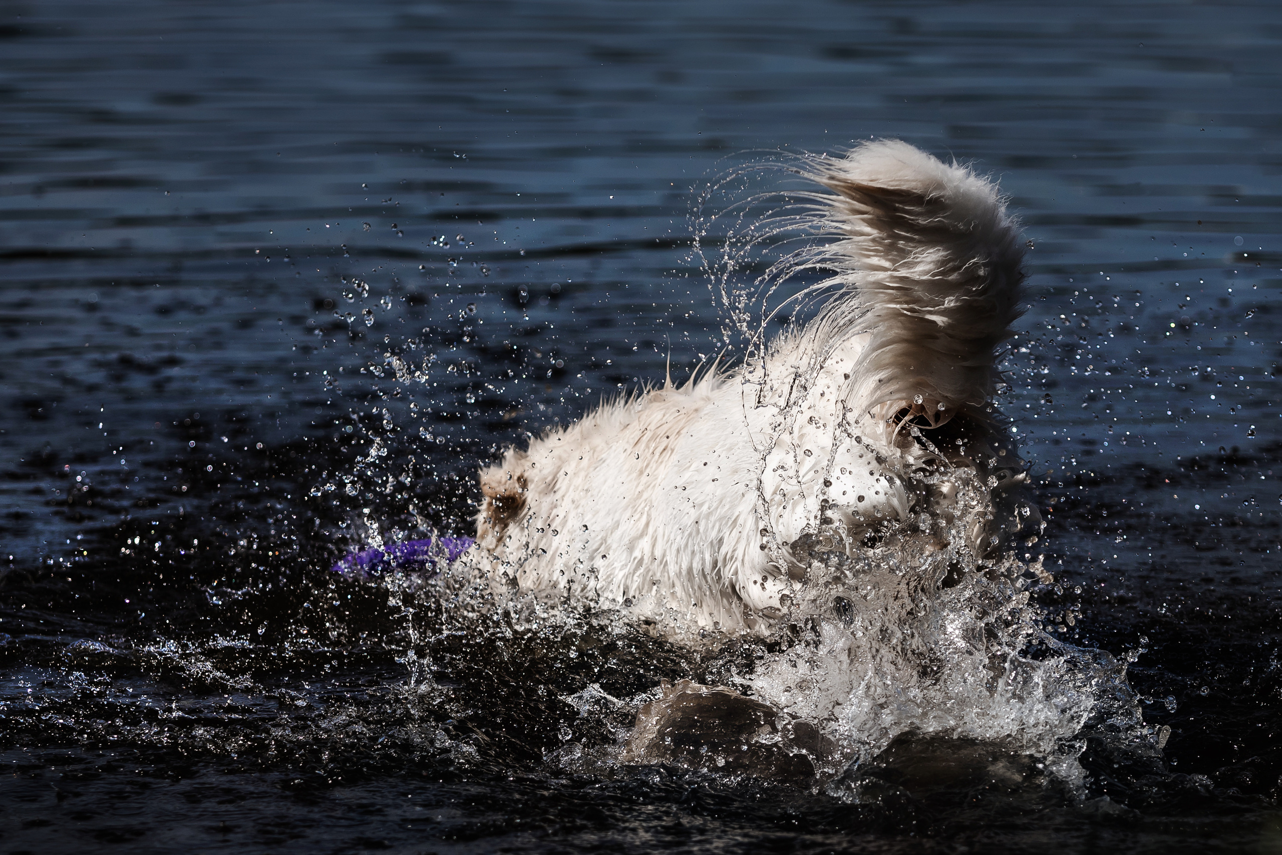 Фотосессия Светы, Юли и Олафа