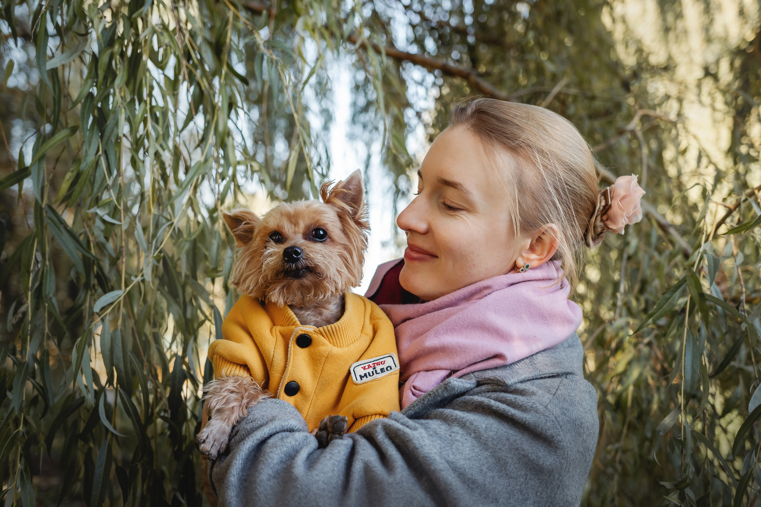 Фотосессия с собакой и котом. Ира, йорк Филя и кот Леброн