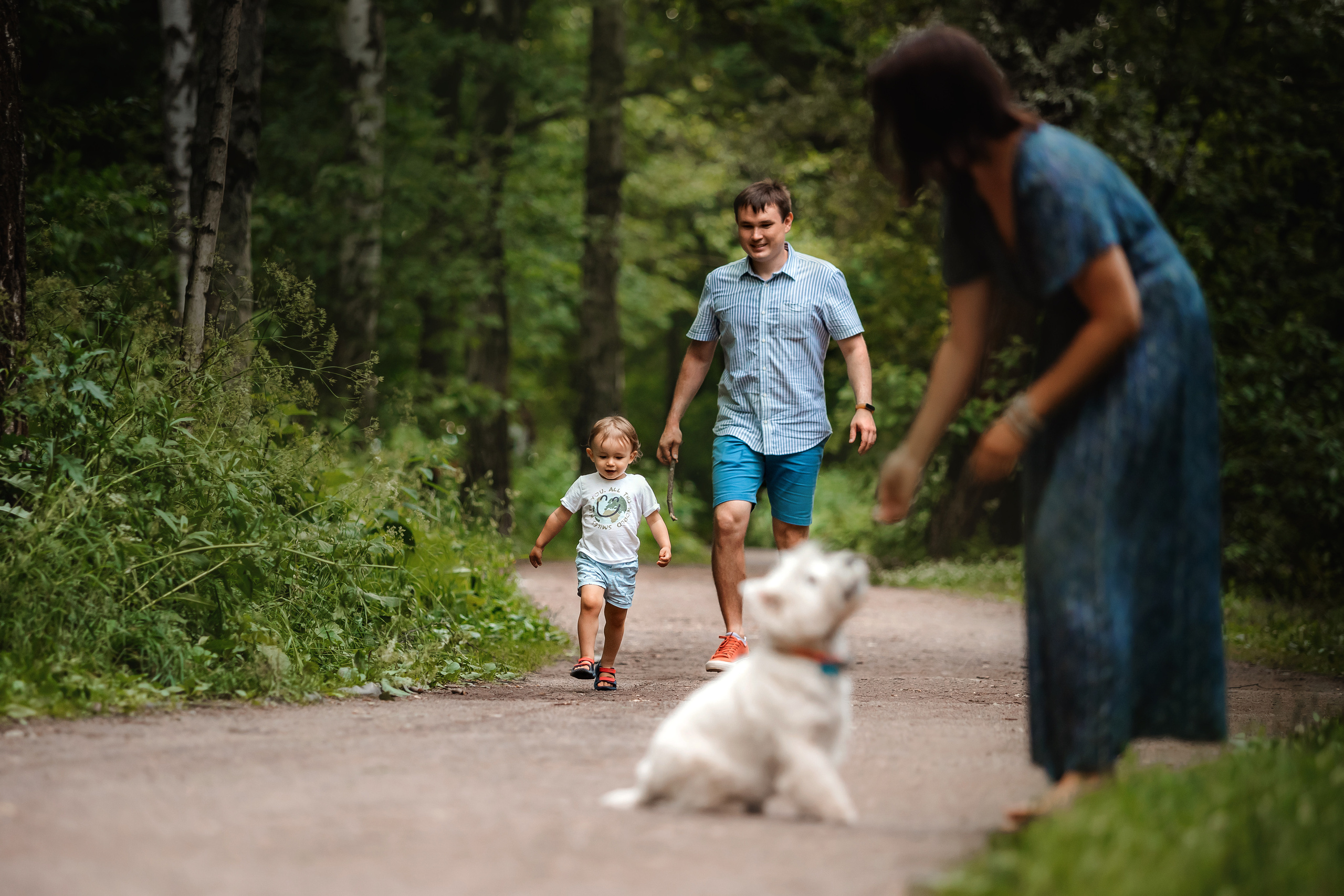 Перся и его семья в Ботаническом лесу