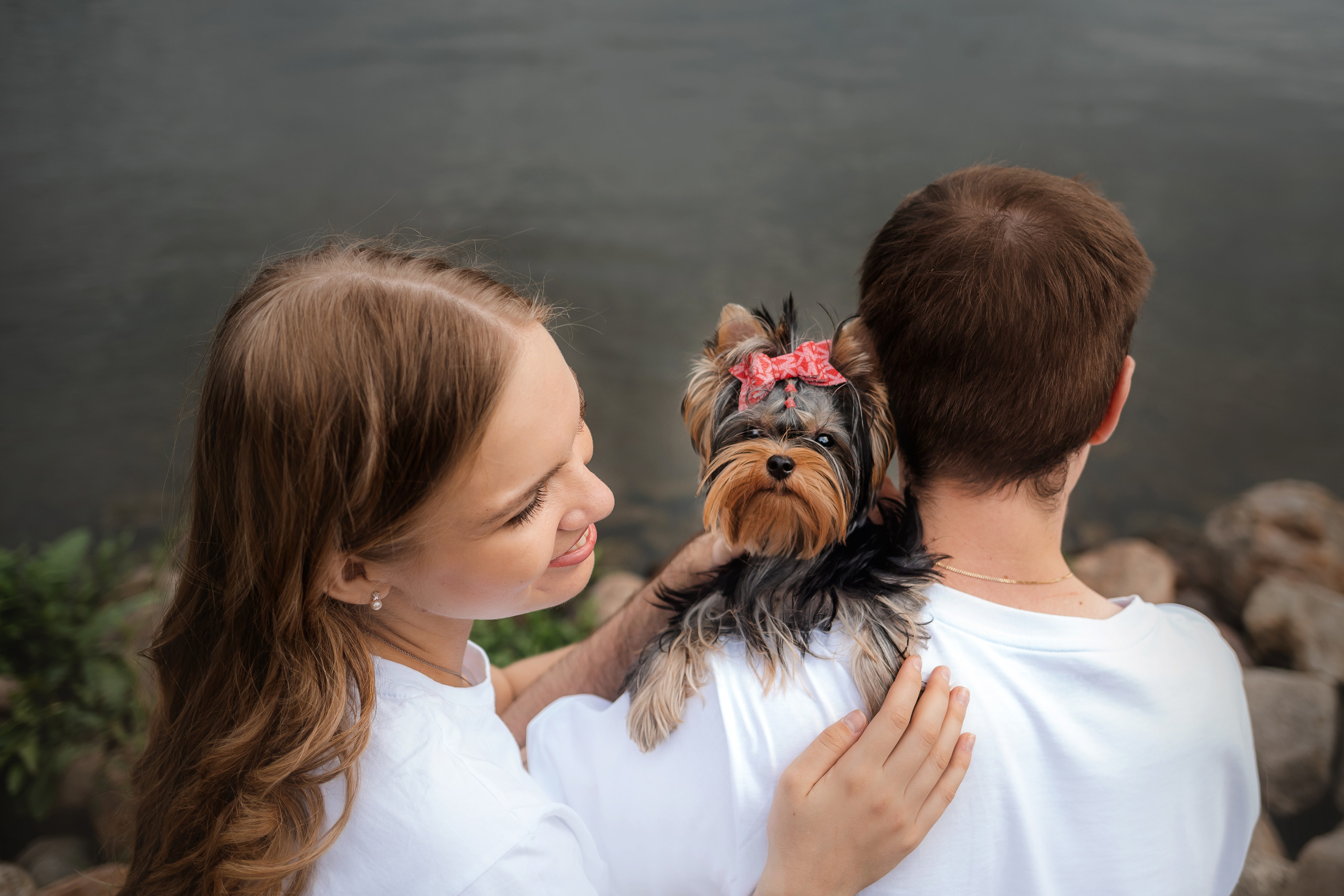 Фотосессия йорка Юли и ее семья