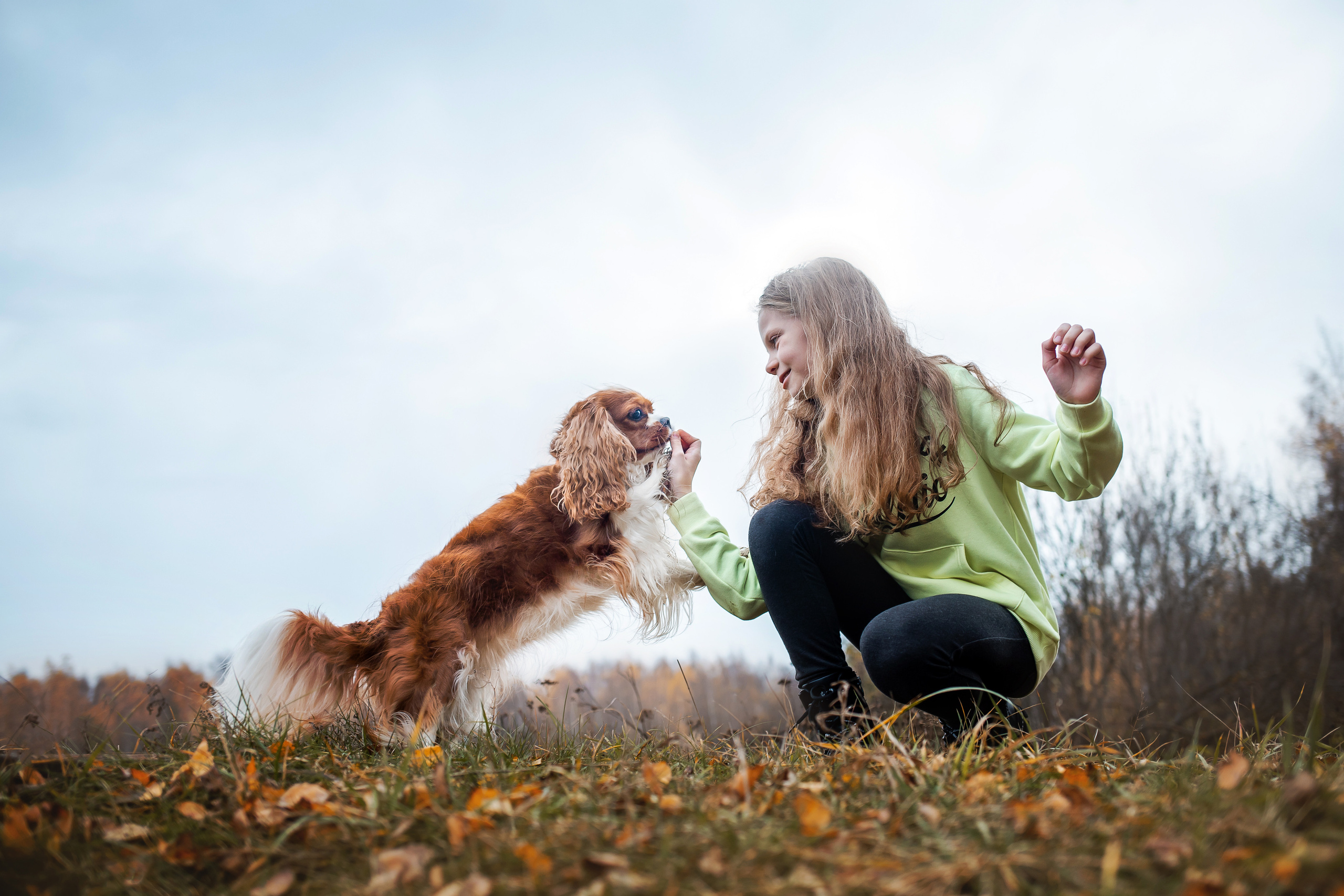 Фотосессия с ребенком и собакой