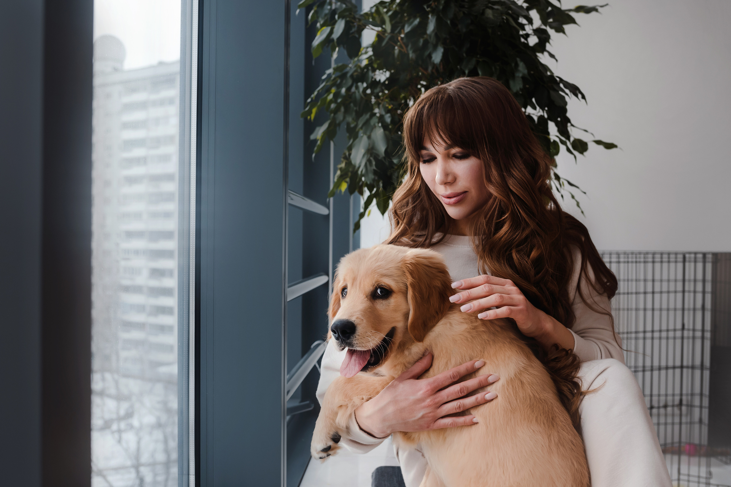 фотосессия щенка