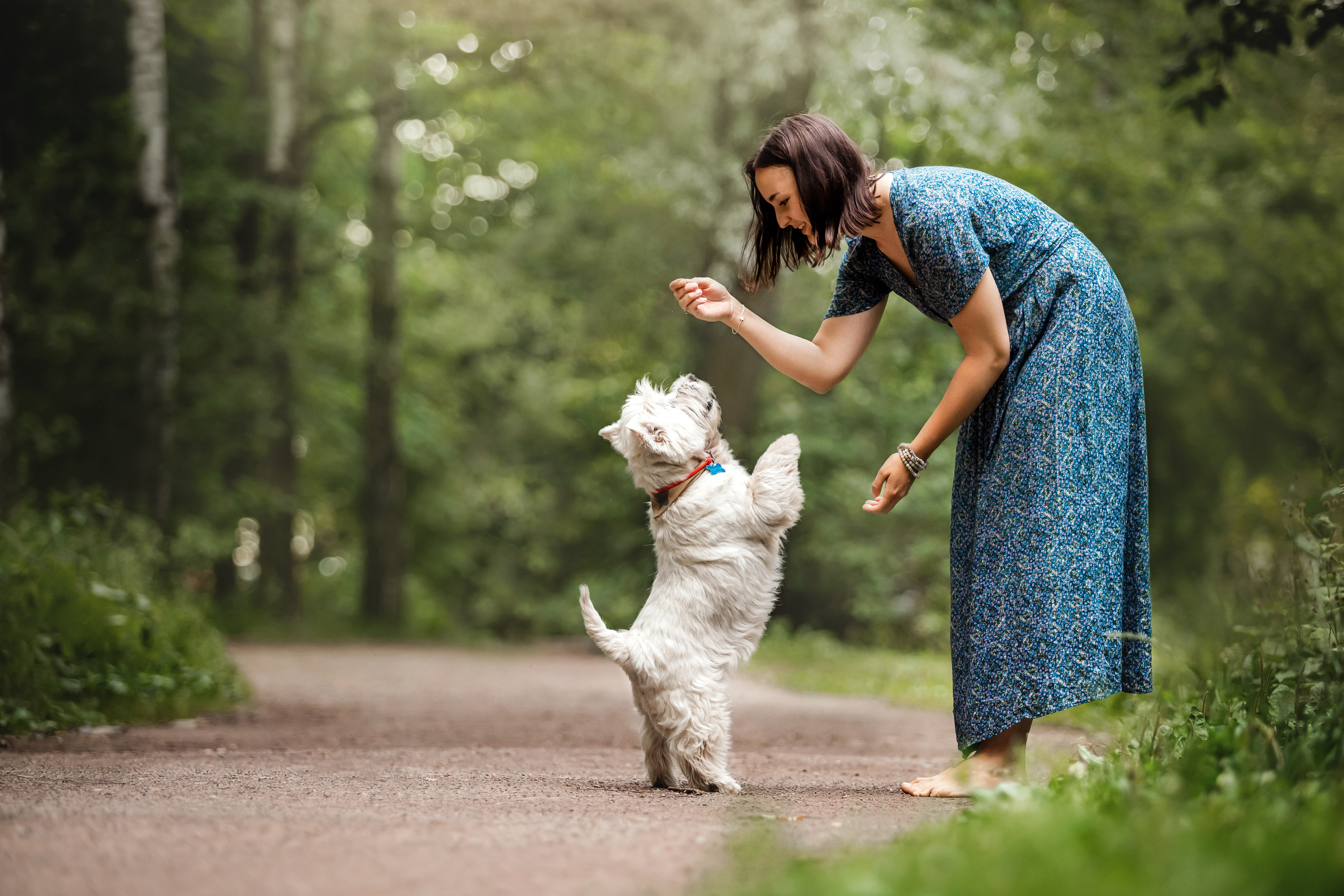 Перся и его семья в Ботаническом лесу