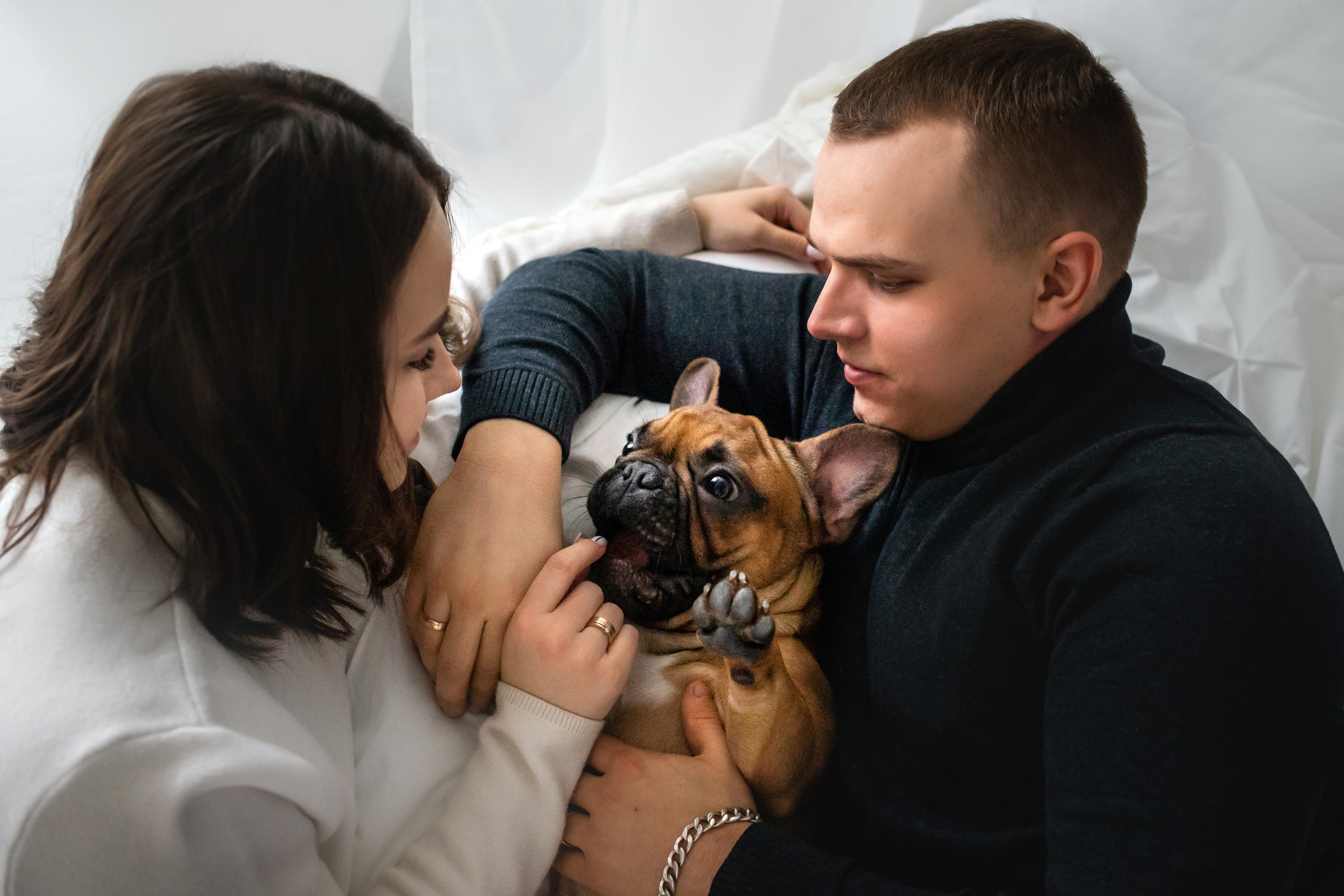 Фотосессия бульдогов Лео и Марса в догфрендли студии