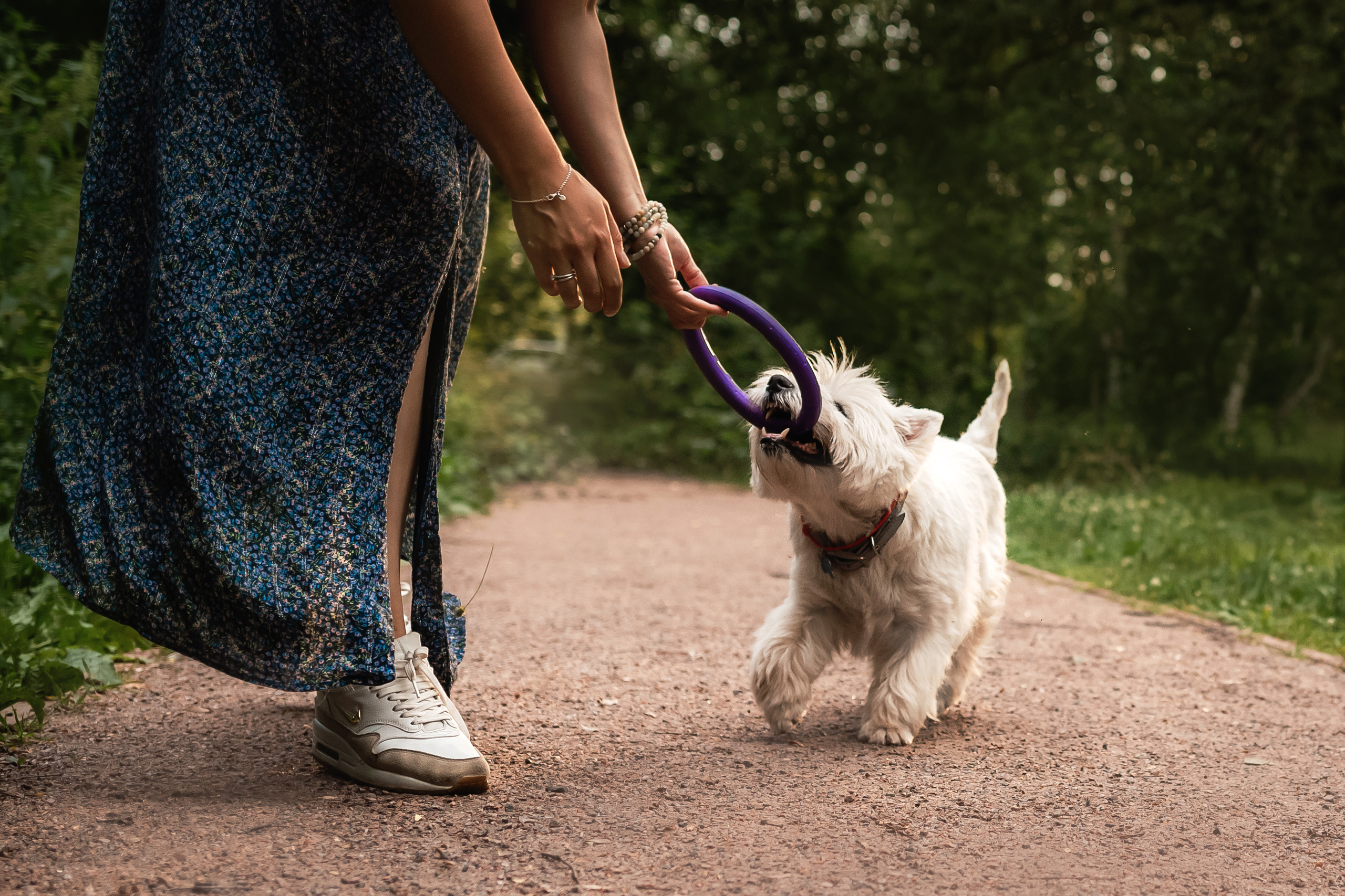 Перся и его семья в Ботаническом лесу