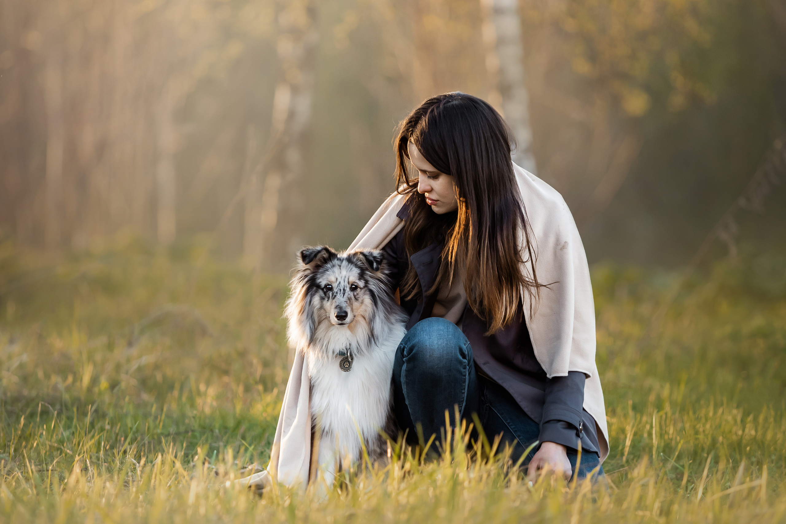 Фотосессия с шелти Скаем
