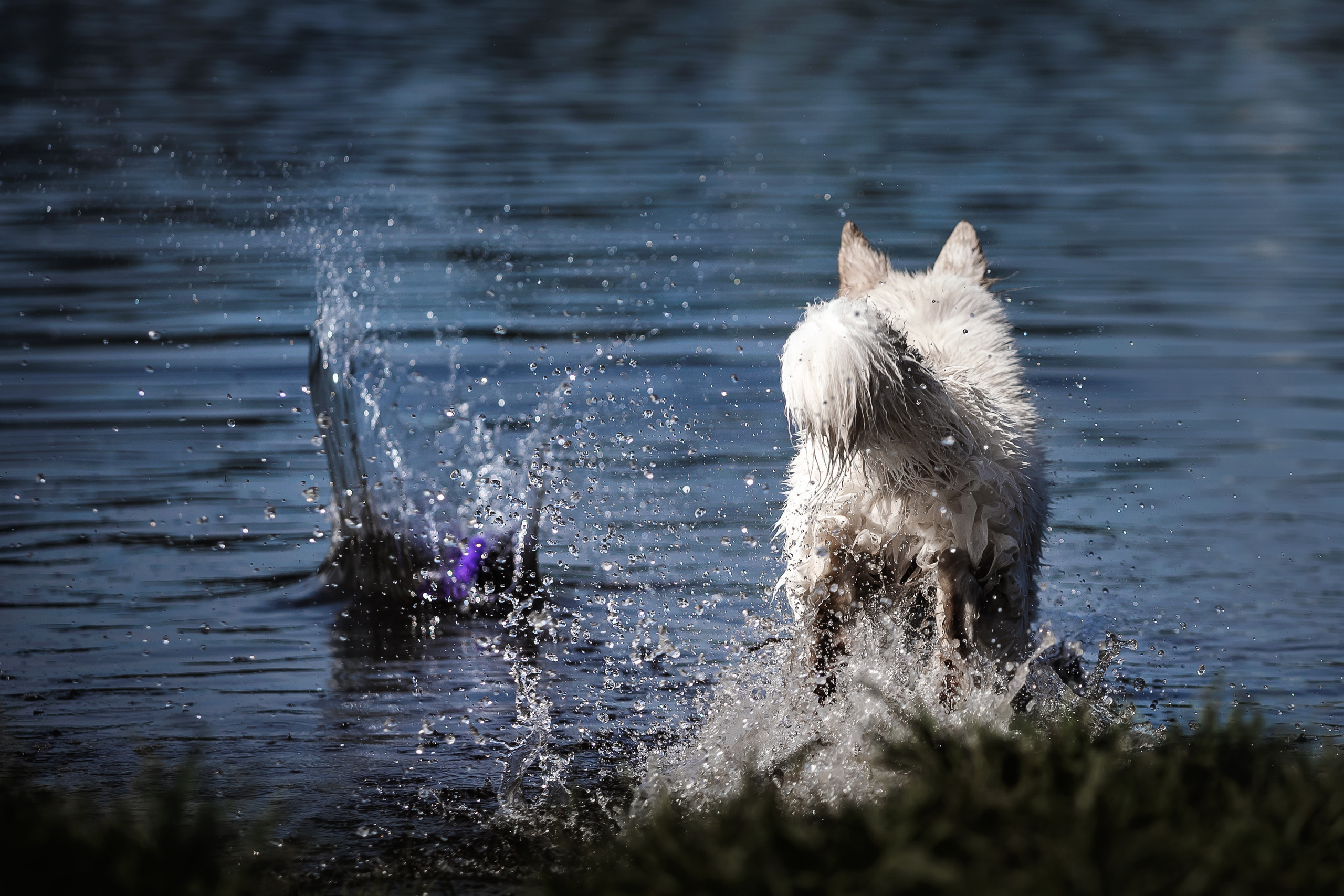 Фотосессия Светы, Юли и Олафа