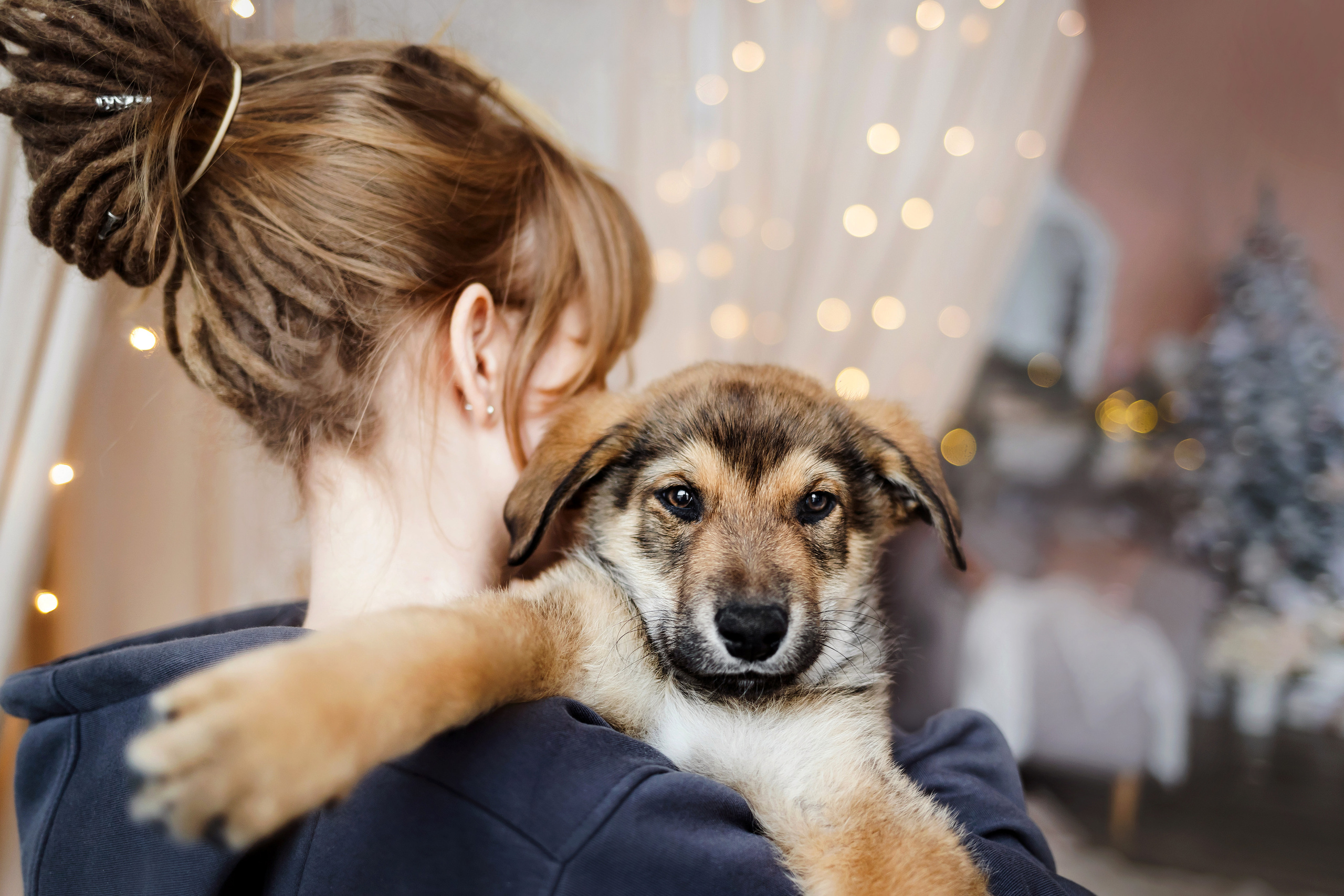 Фотосессия щенков Сатин и Нильс в студии