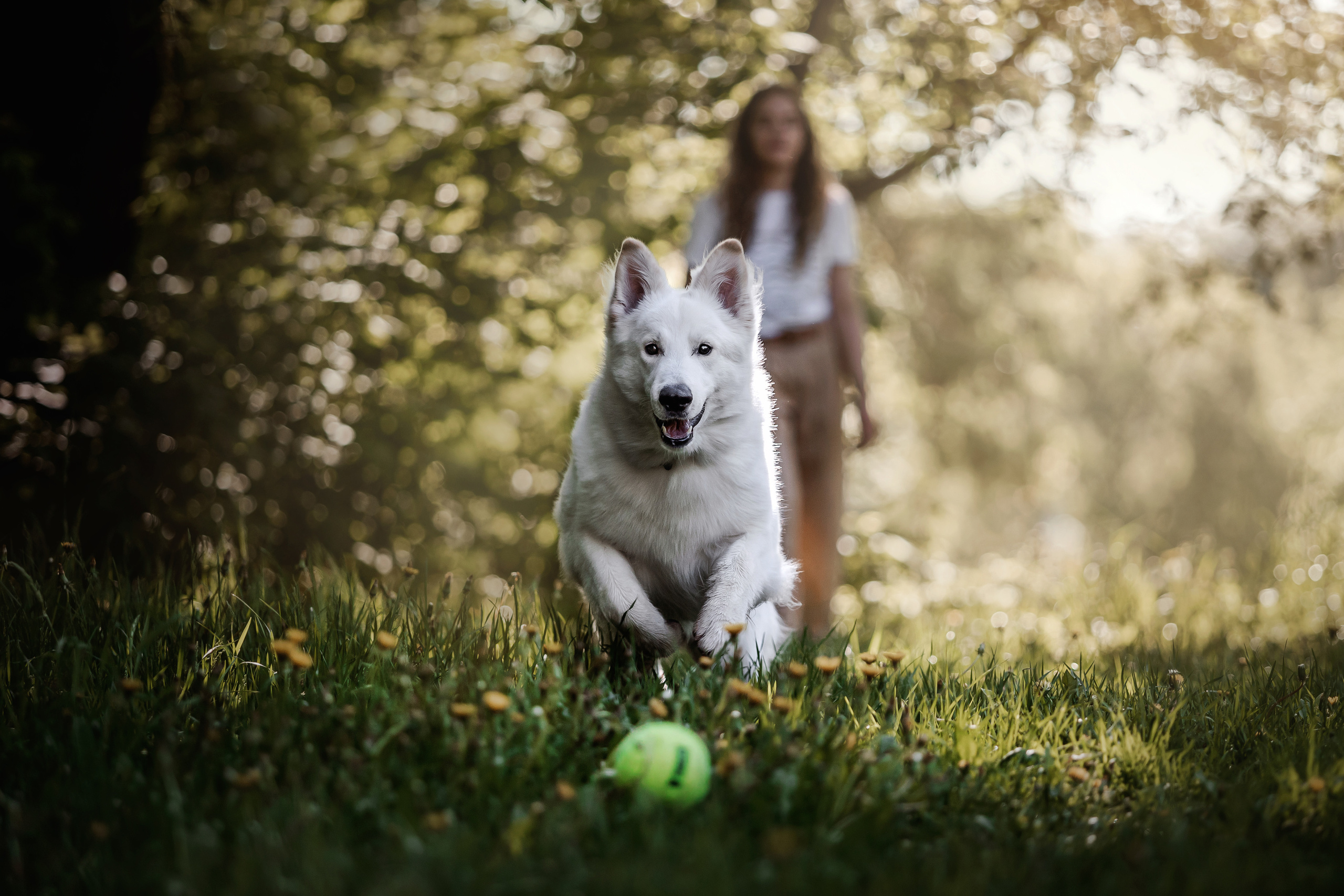 Фотосессия Светы, Юли и Олафа