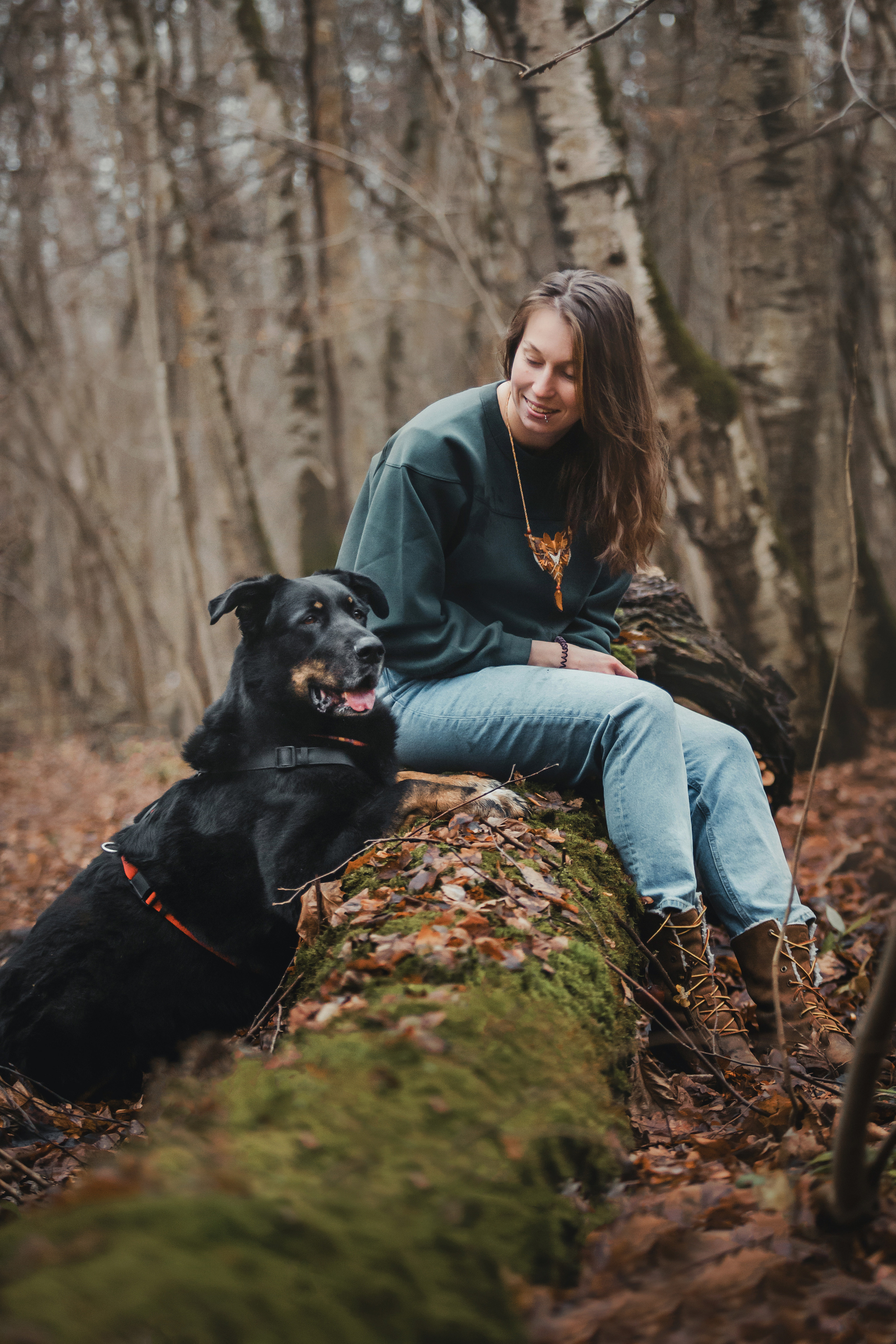 Фотосессия с собакой Фелик
