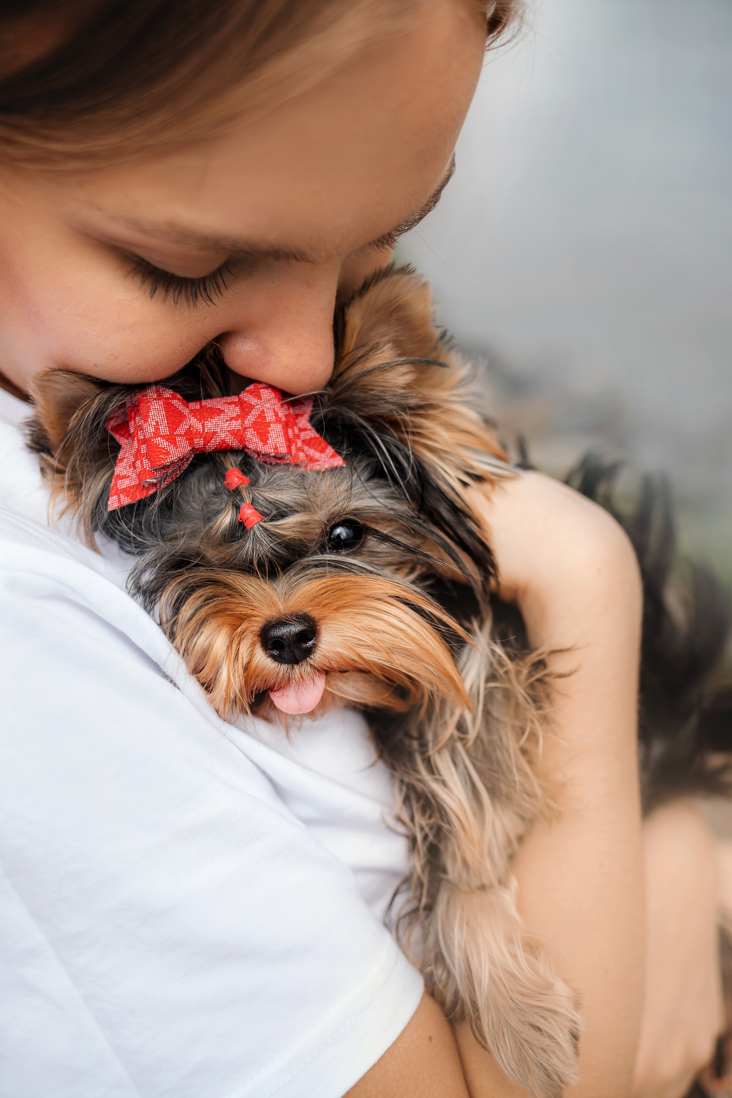 Фотосессия йорка Юли и ее семья