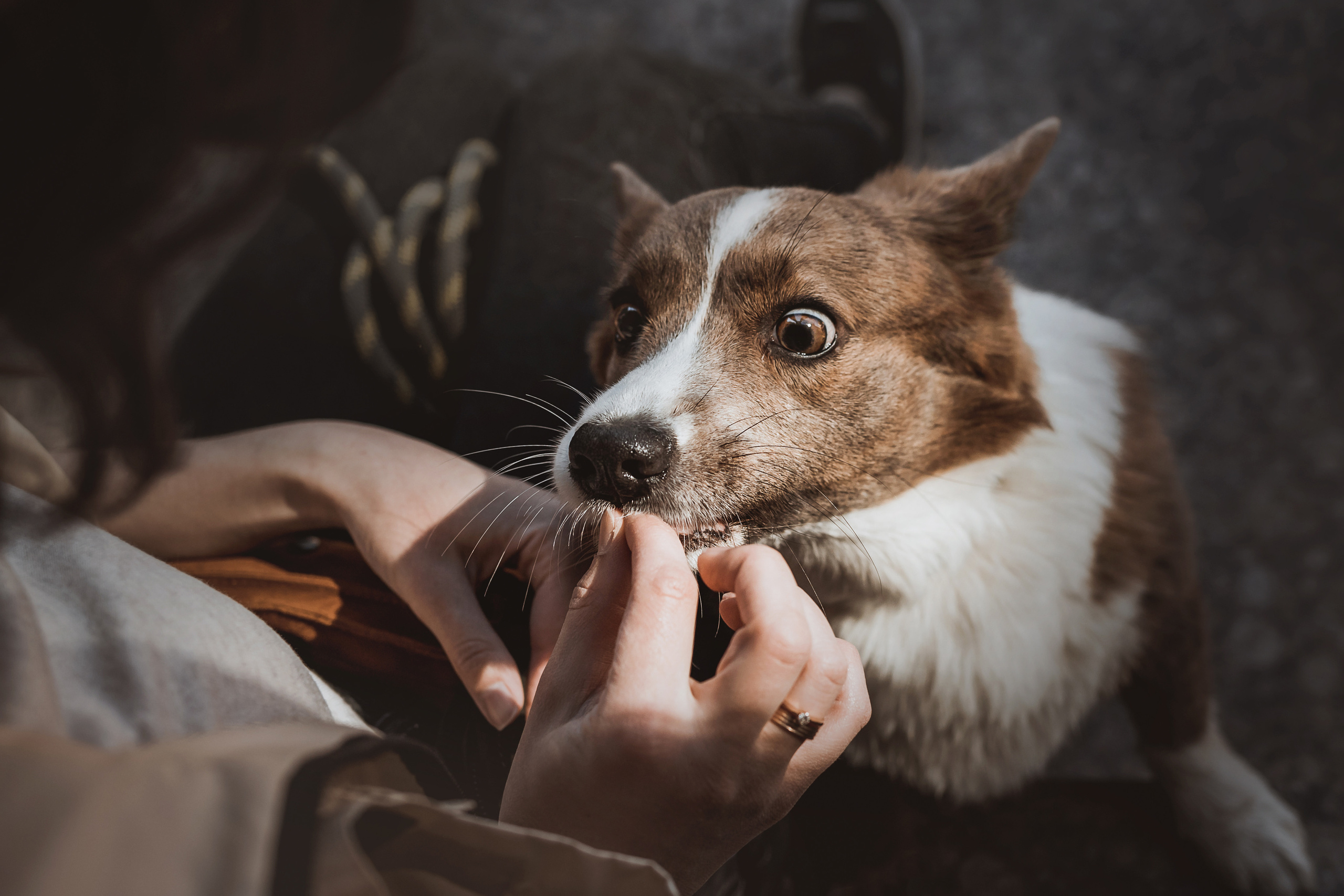 Кристина и Лулуди