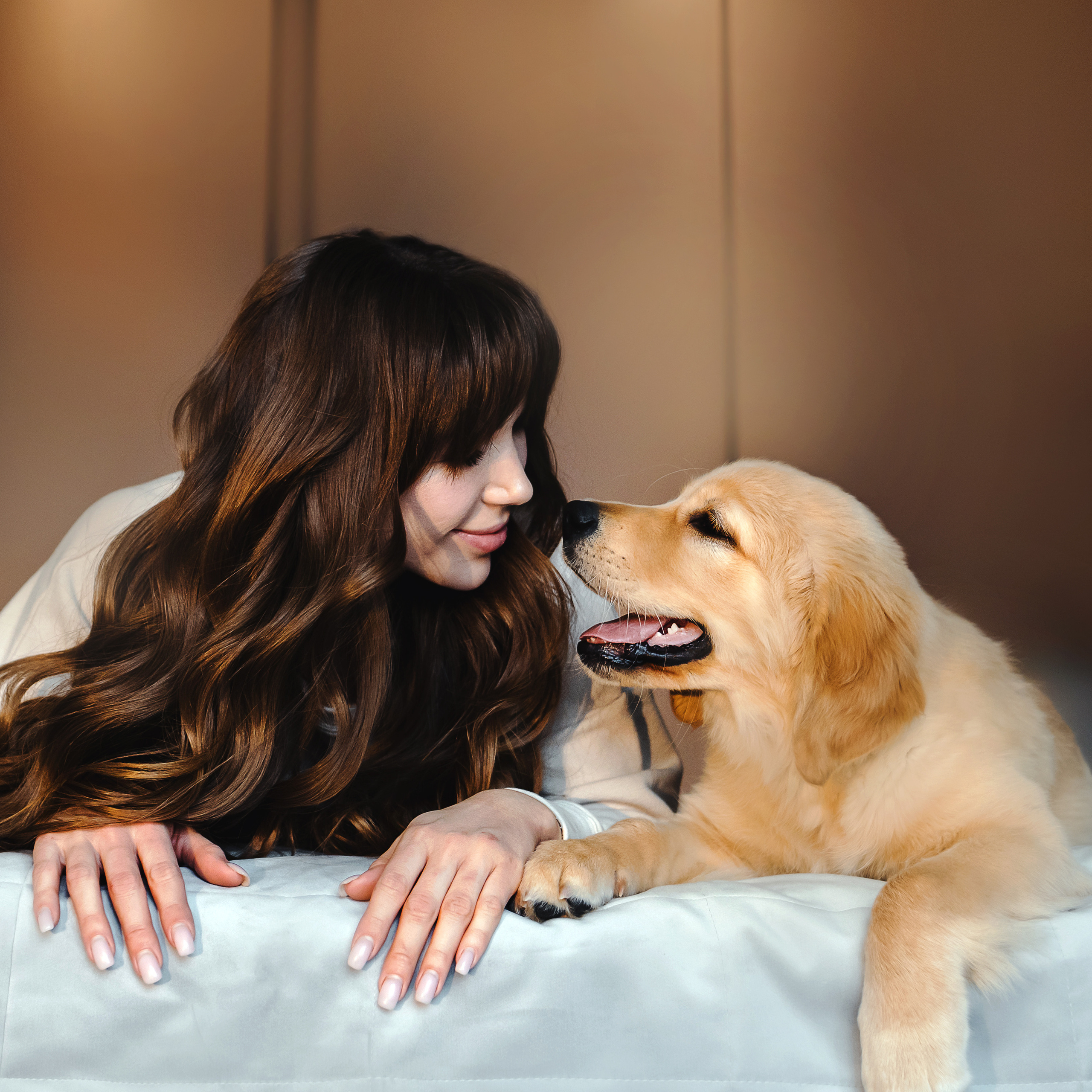 домашняя фотосессия с щенком