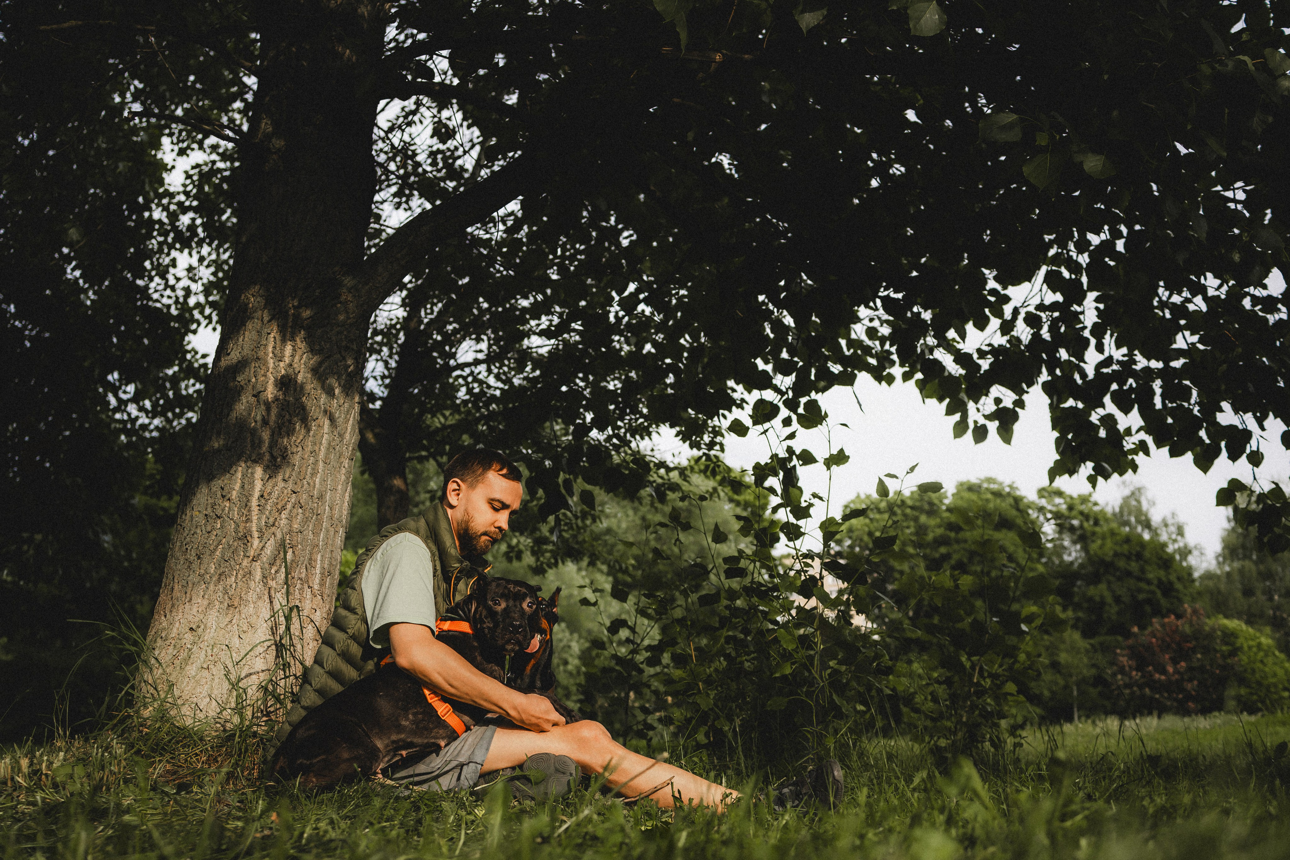 Паша, Хайди и Тея