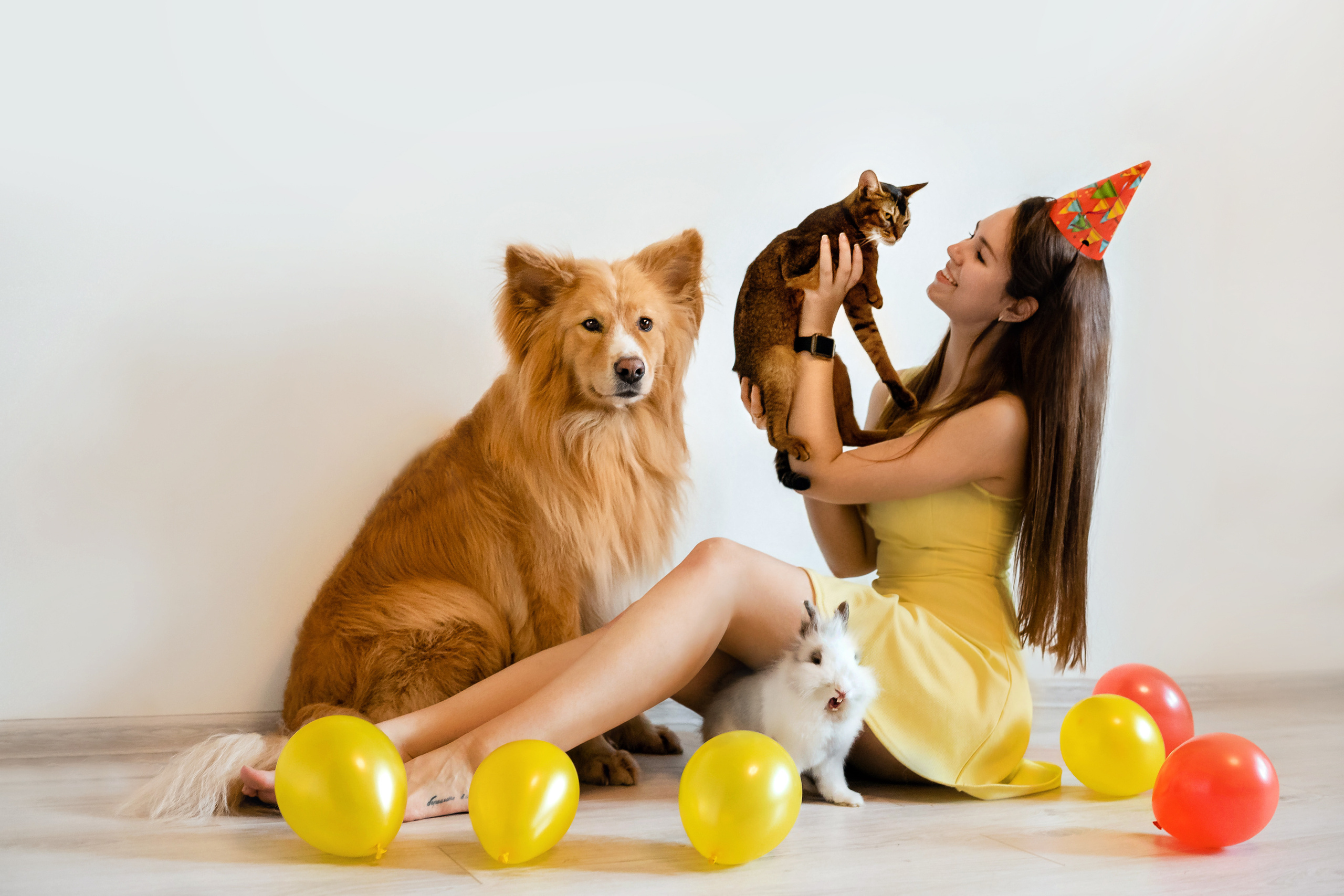 Фотосессия с кошкой, собакой и кроликом