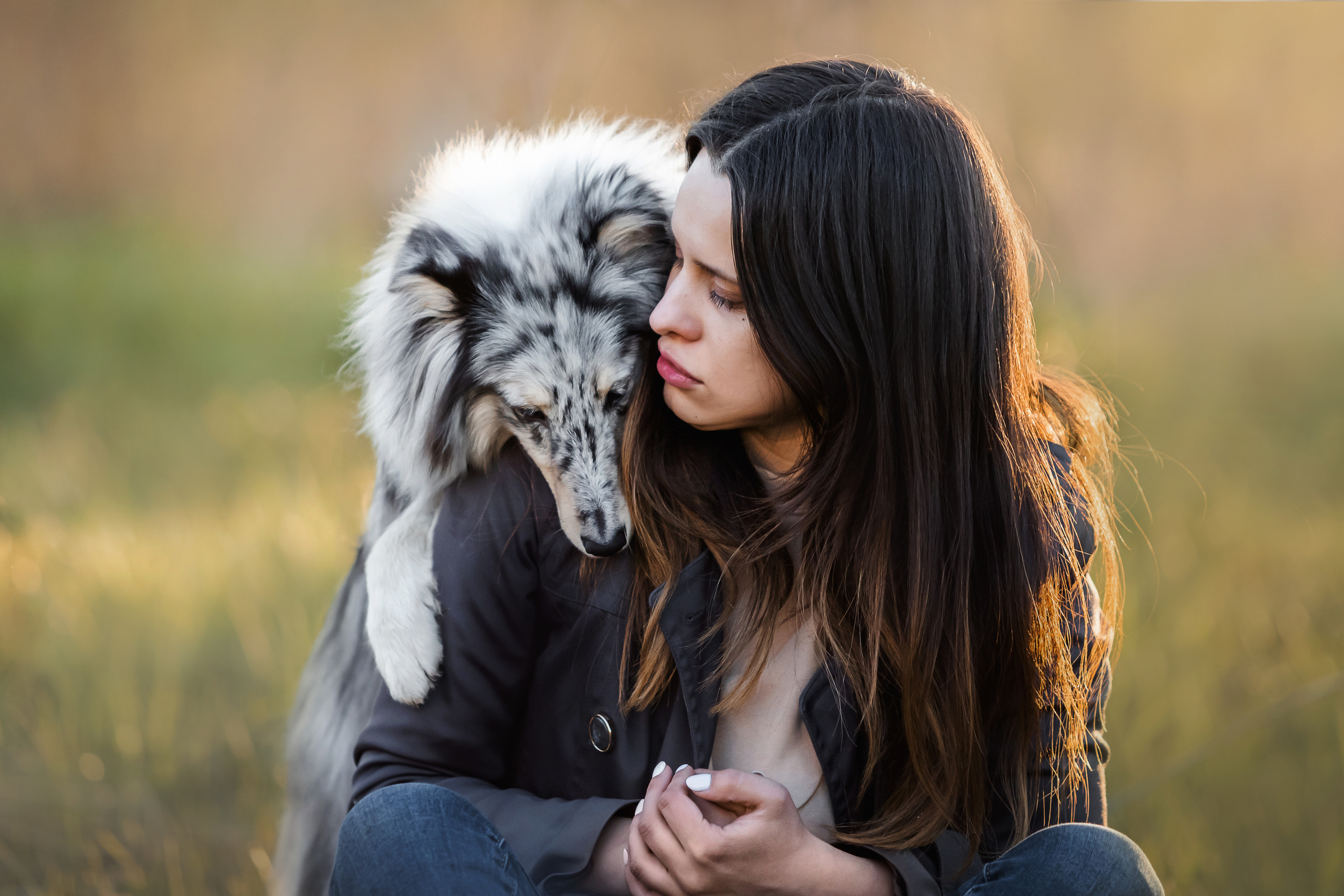 Фотосессия с шелти Скаем
