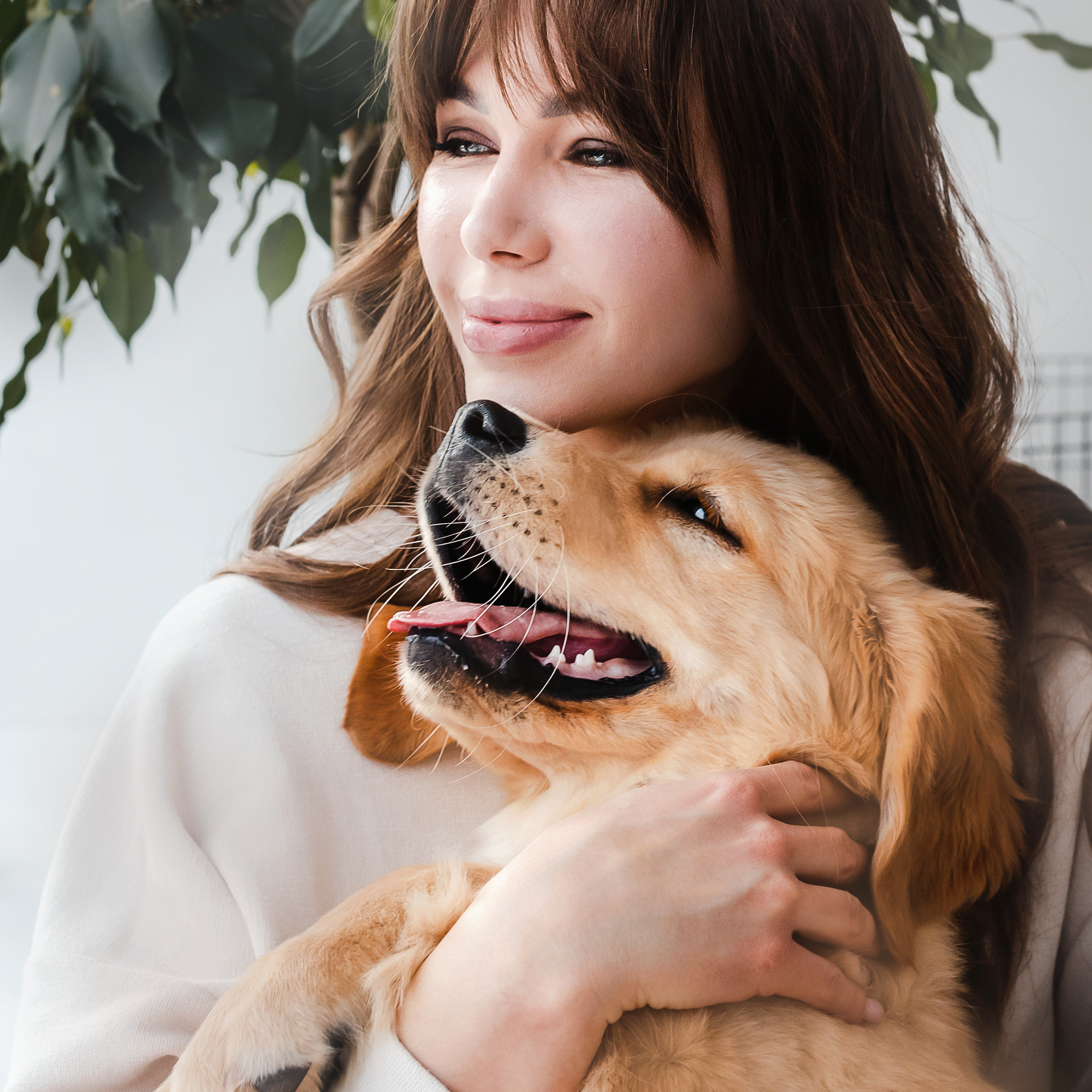 фотосессия щенка