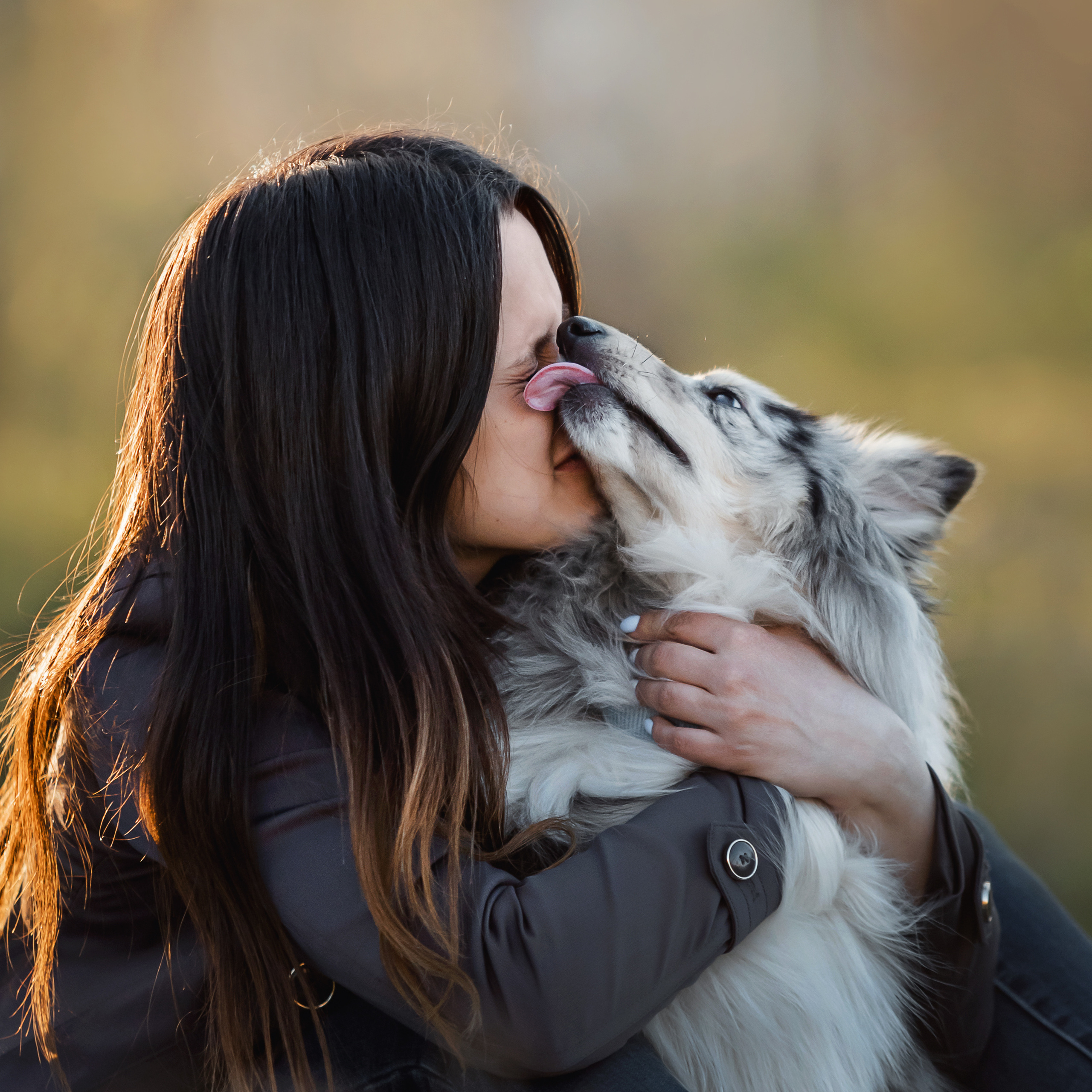 Фотосессия с шелти Скаем