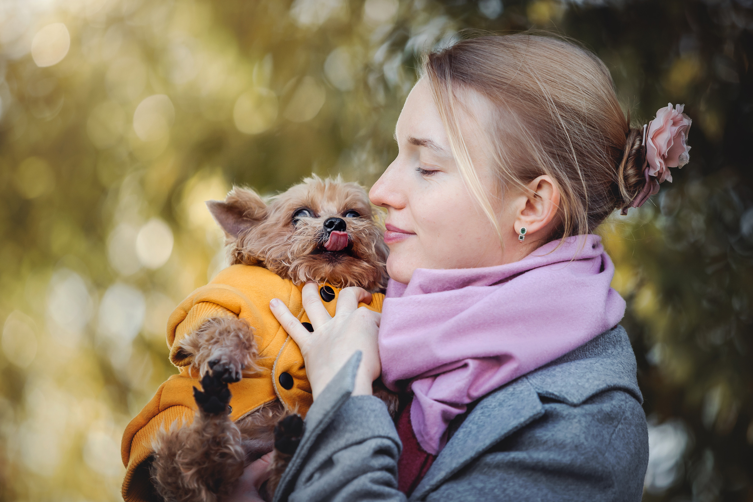 Фотосессия с собакой и котом. Ира, йорк Филя и кот Леброн