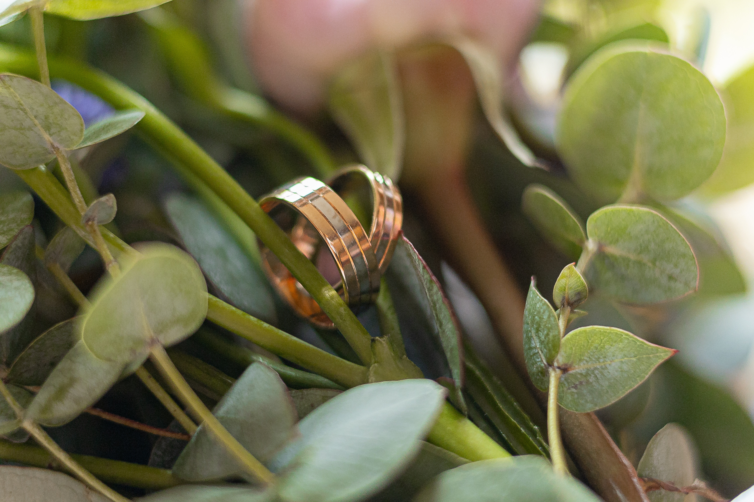 Данил и Анна. Фотограф в Самаре и Самарской области Констанция