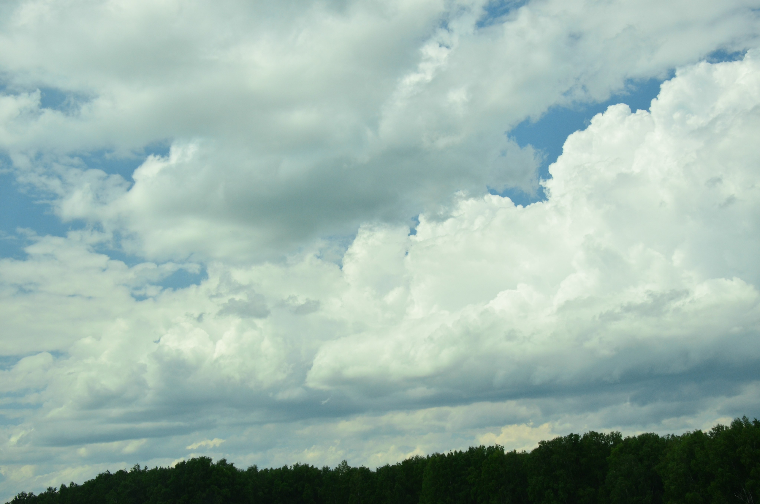 Дары природы. Фотограф viktor viktor