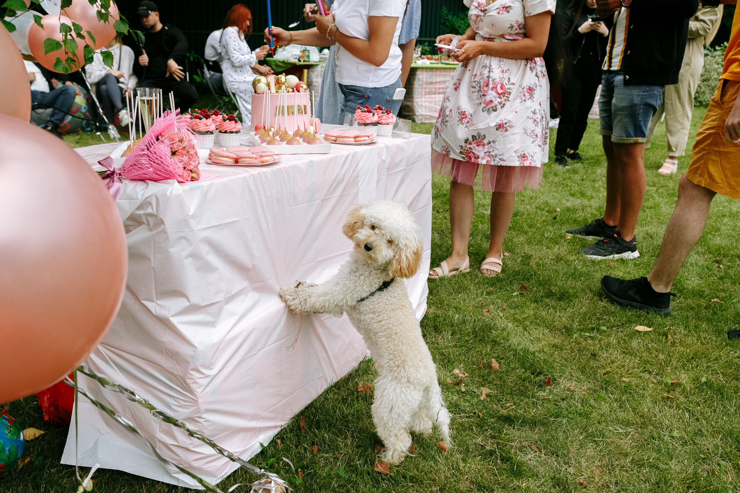 Большой праздник Лизы. Свадебный фотограф в Москве Александра Тихонова