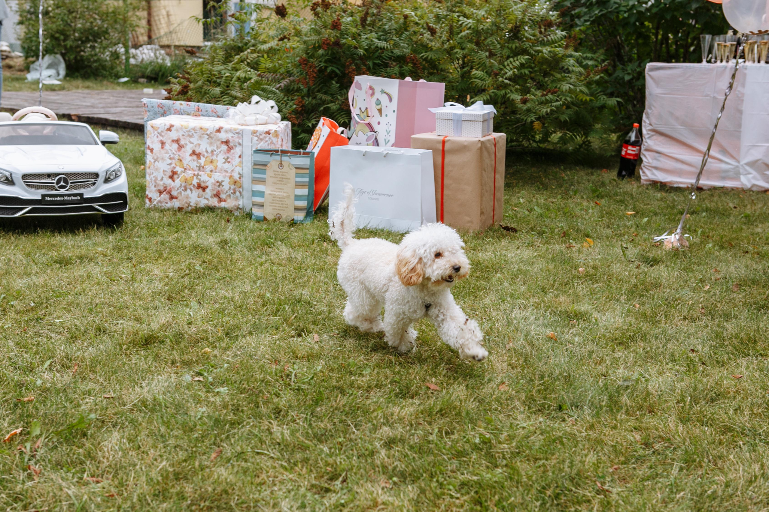 Большой праздник Лизы. Свадебный фотограф в Москве Александра Тихонова