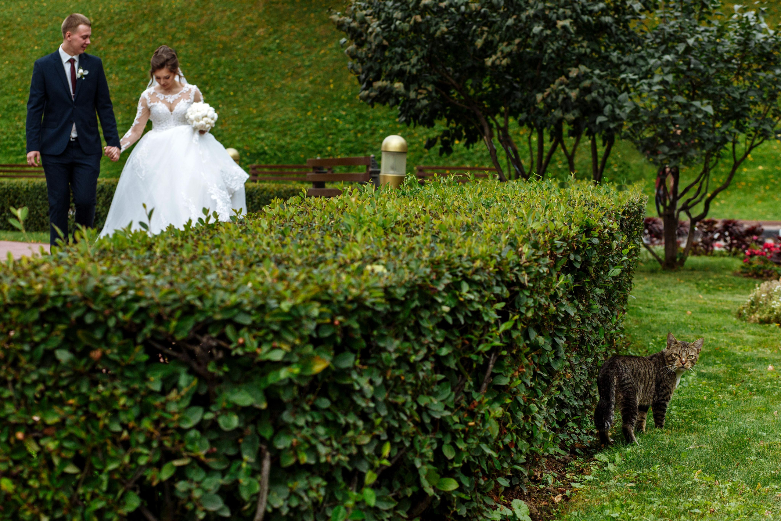 Свадебный фотограф в Москве Александра Тихонова
