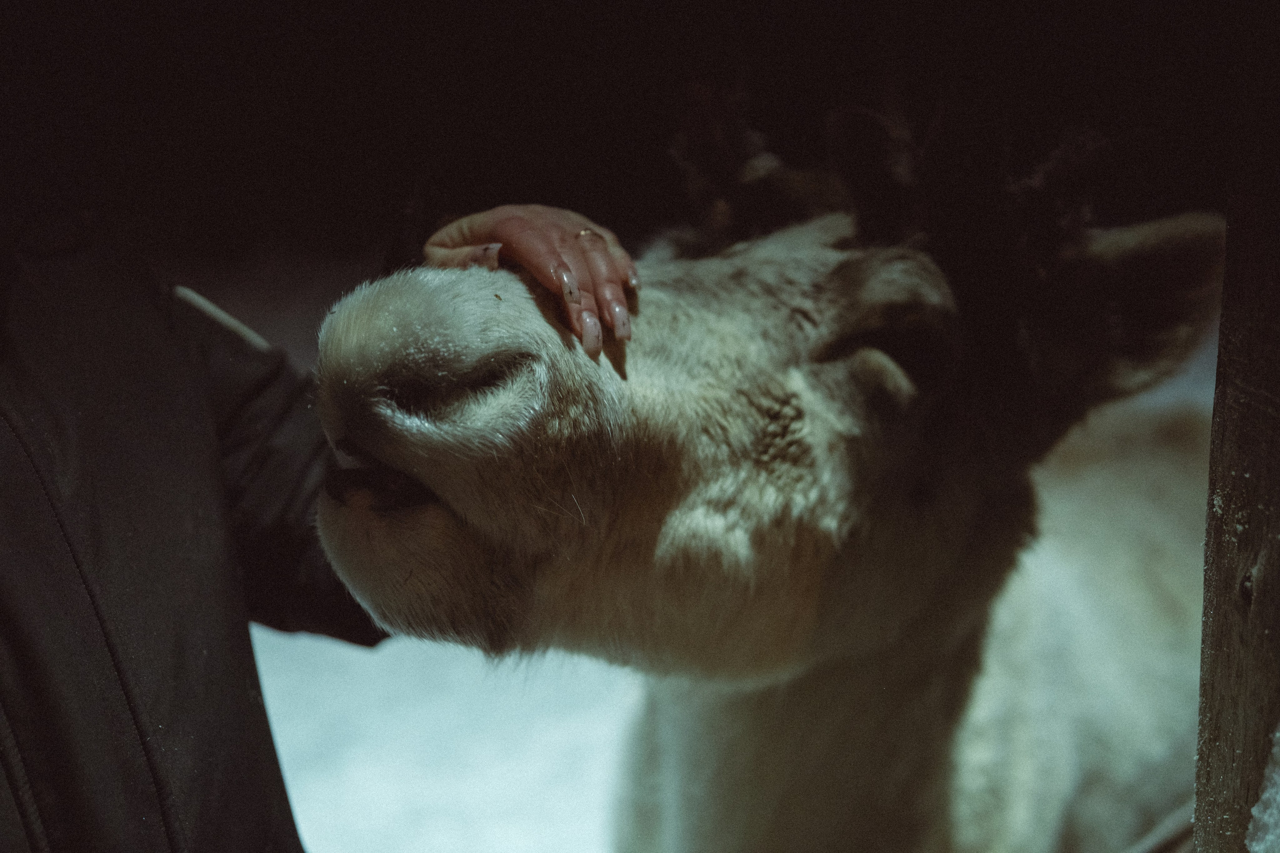 Фотографии Териберки | Филипп Линзин. Репортажный и портретный фотограф в Санкт-Петербурге Филипп Линзин