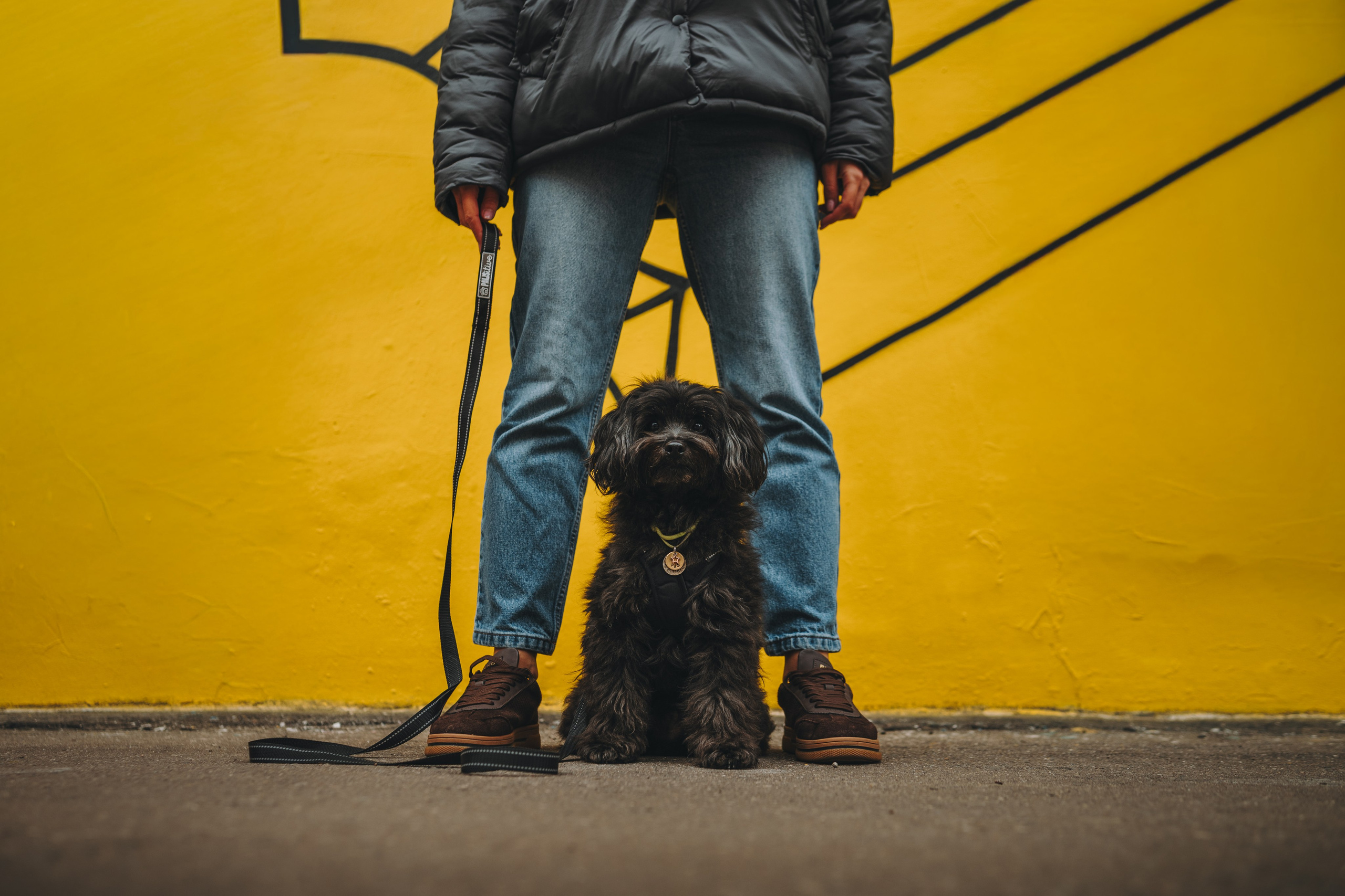 Pawsitive. Семейный фотограф анималист Ананьева Мария — Москва