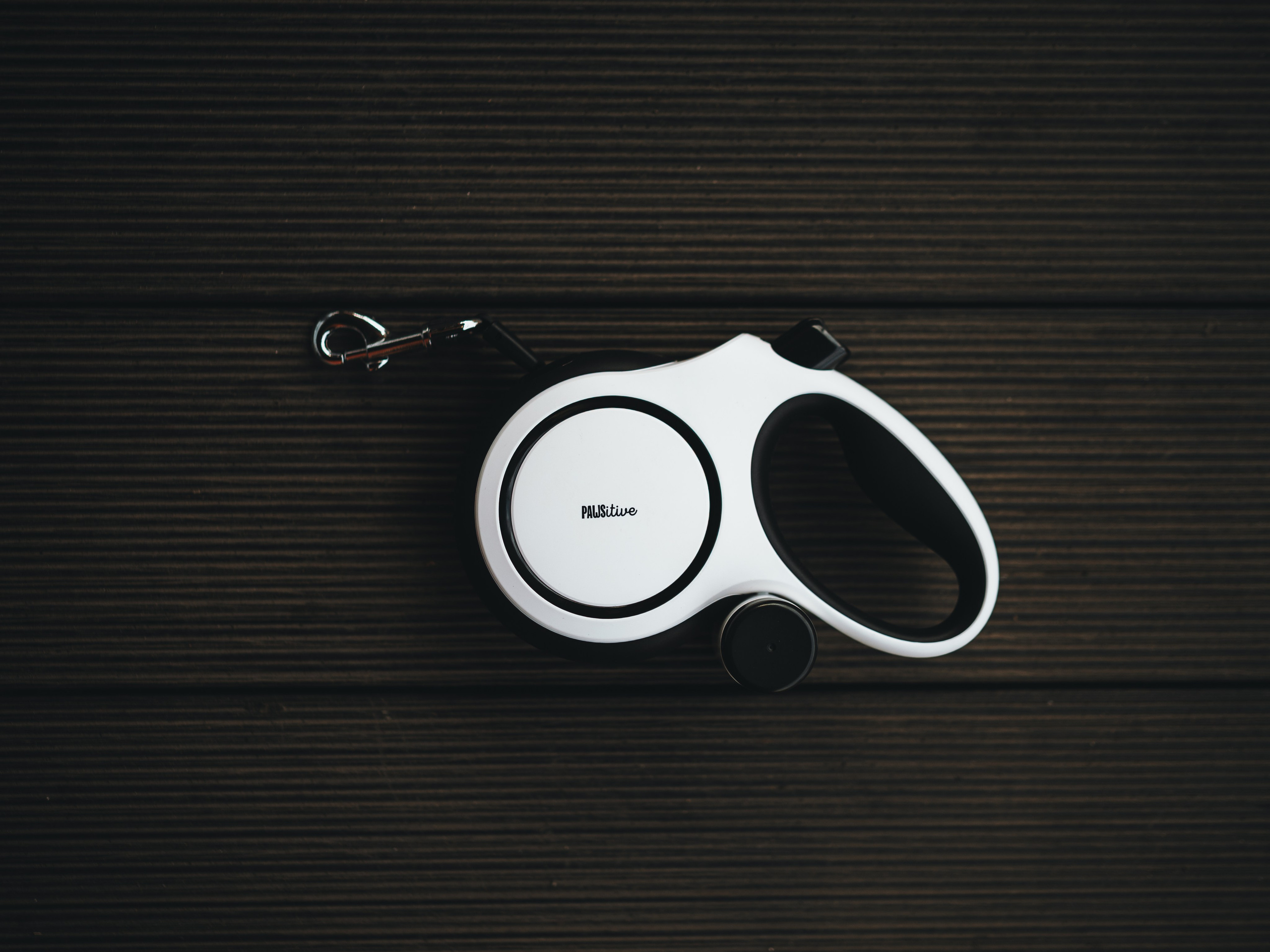 Pawsitive. Семейный фотограф анималист Ананьева Мария — Москва