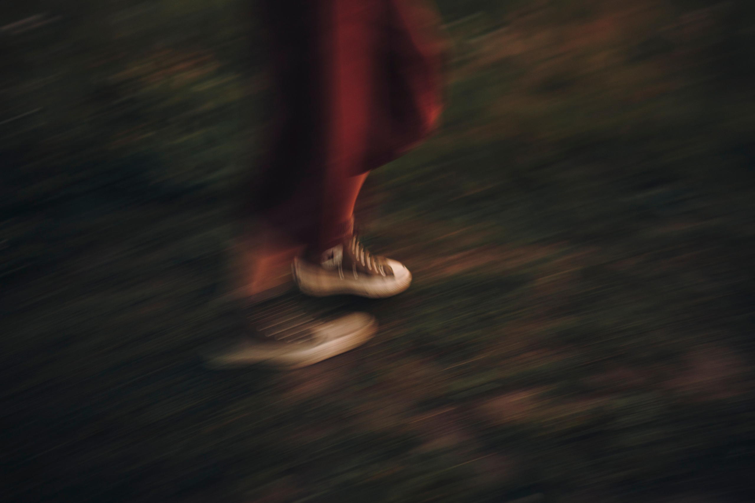 Маша, Трисс и Эста. Семейный фотограф анималист Ананьева Мария — Москва